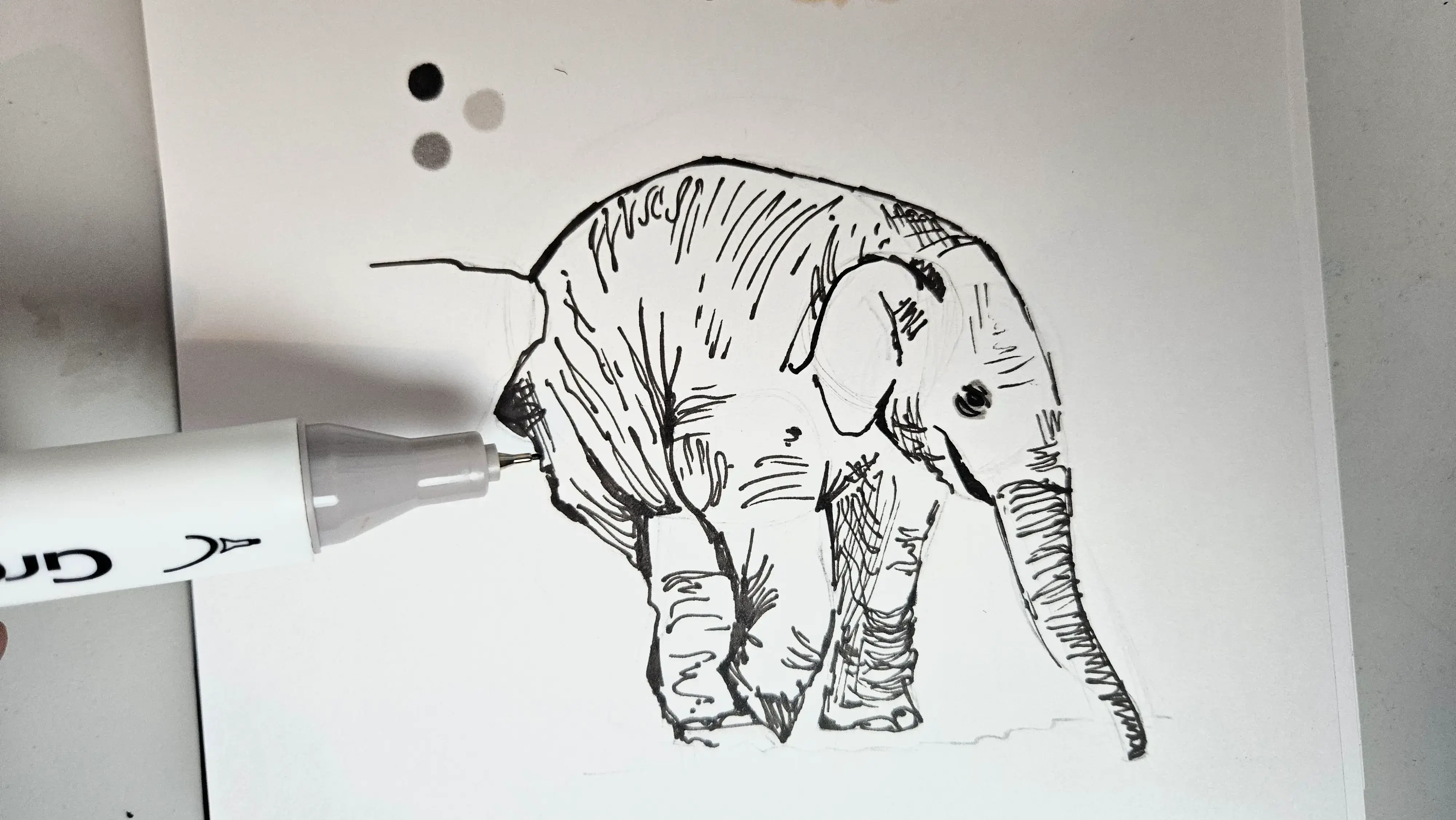 drawing of a baby elephant using alcohol markers