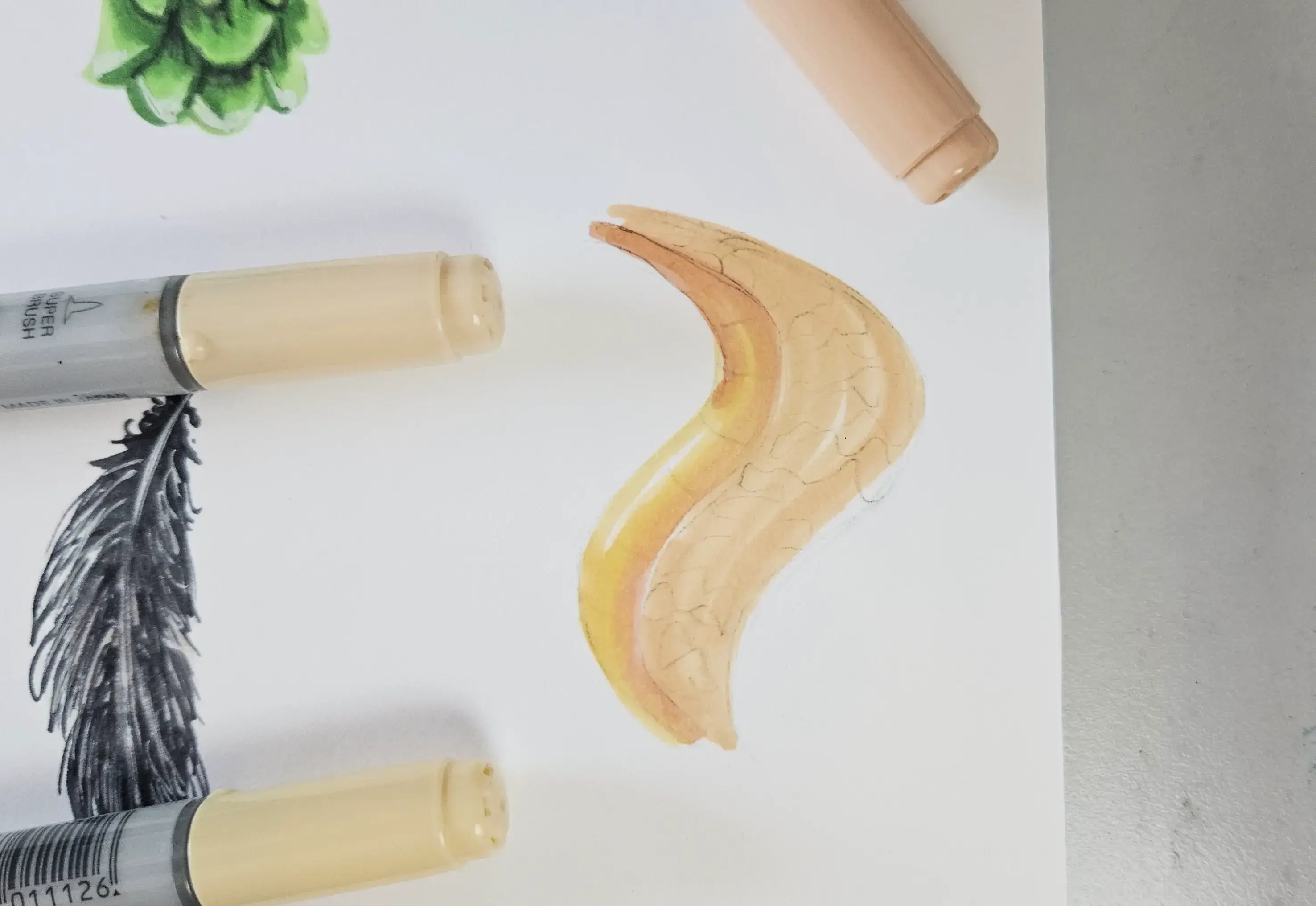 drawing of scales using alcohol markers