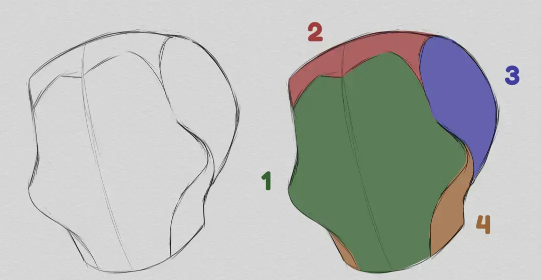 drawing of the base of a caricature from a photo
