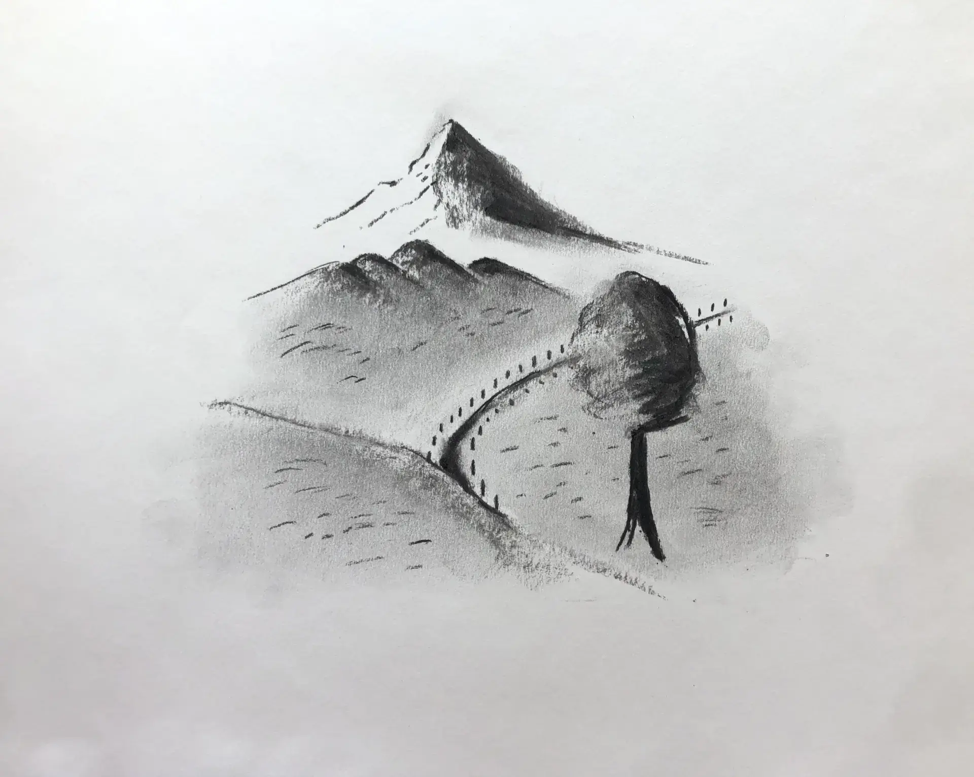 draw the details of a landscape in charcoal