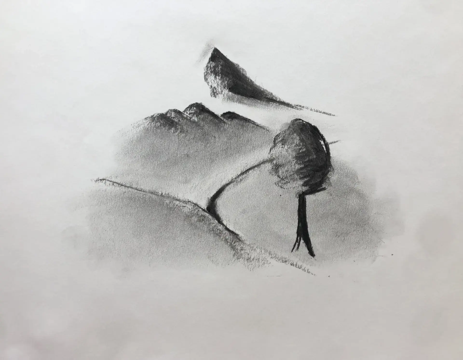 draw the relief of a landscape in charcoal