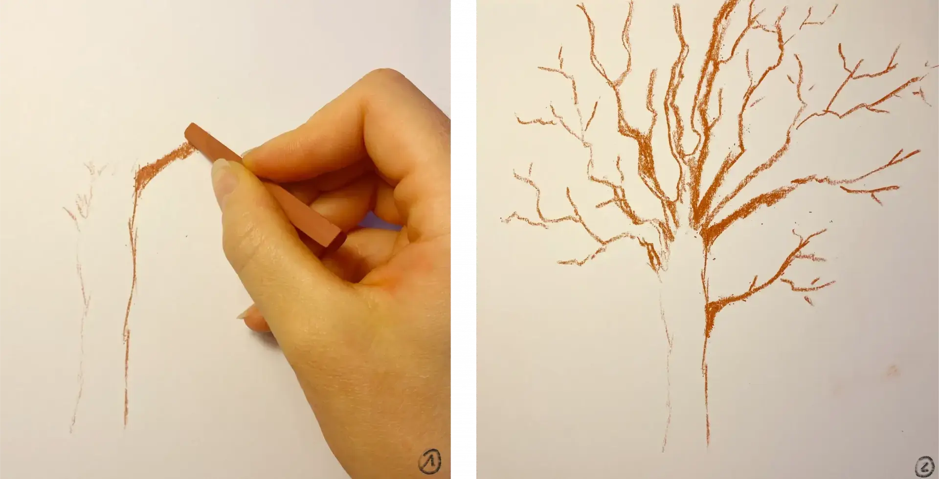 draw the base of a tree with dry red chalk