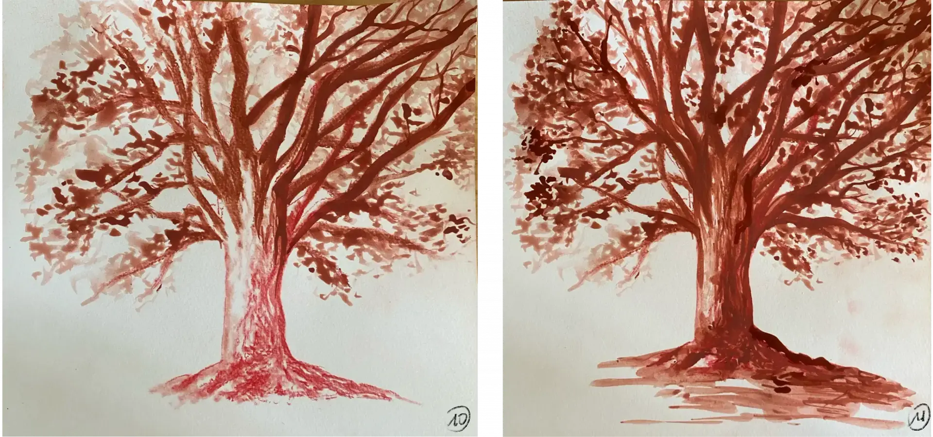 draw the details of a tree with wet sanguine