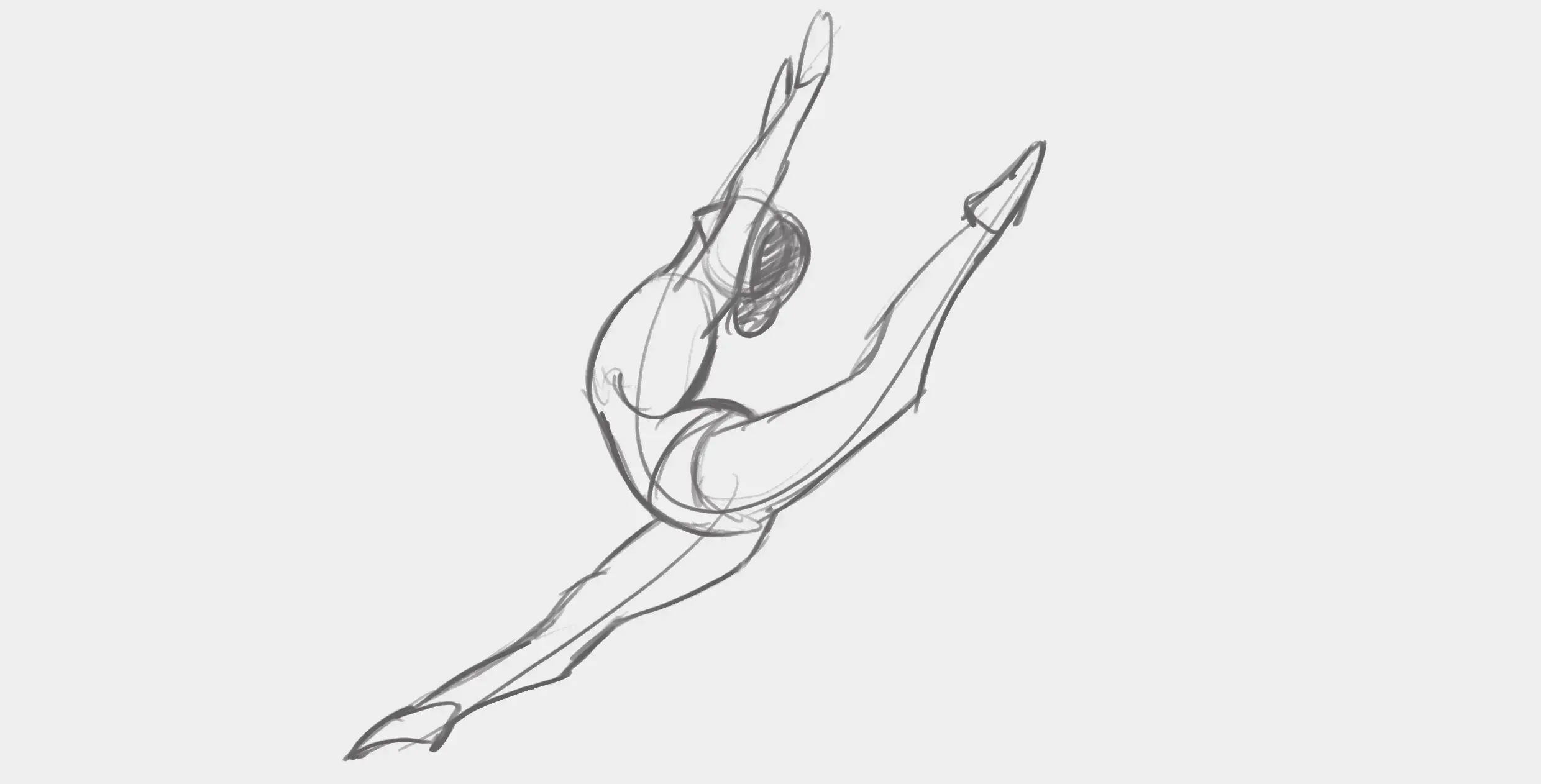 drawing of a living being from life
