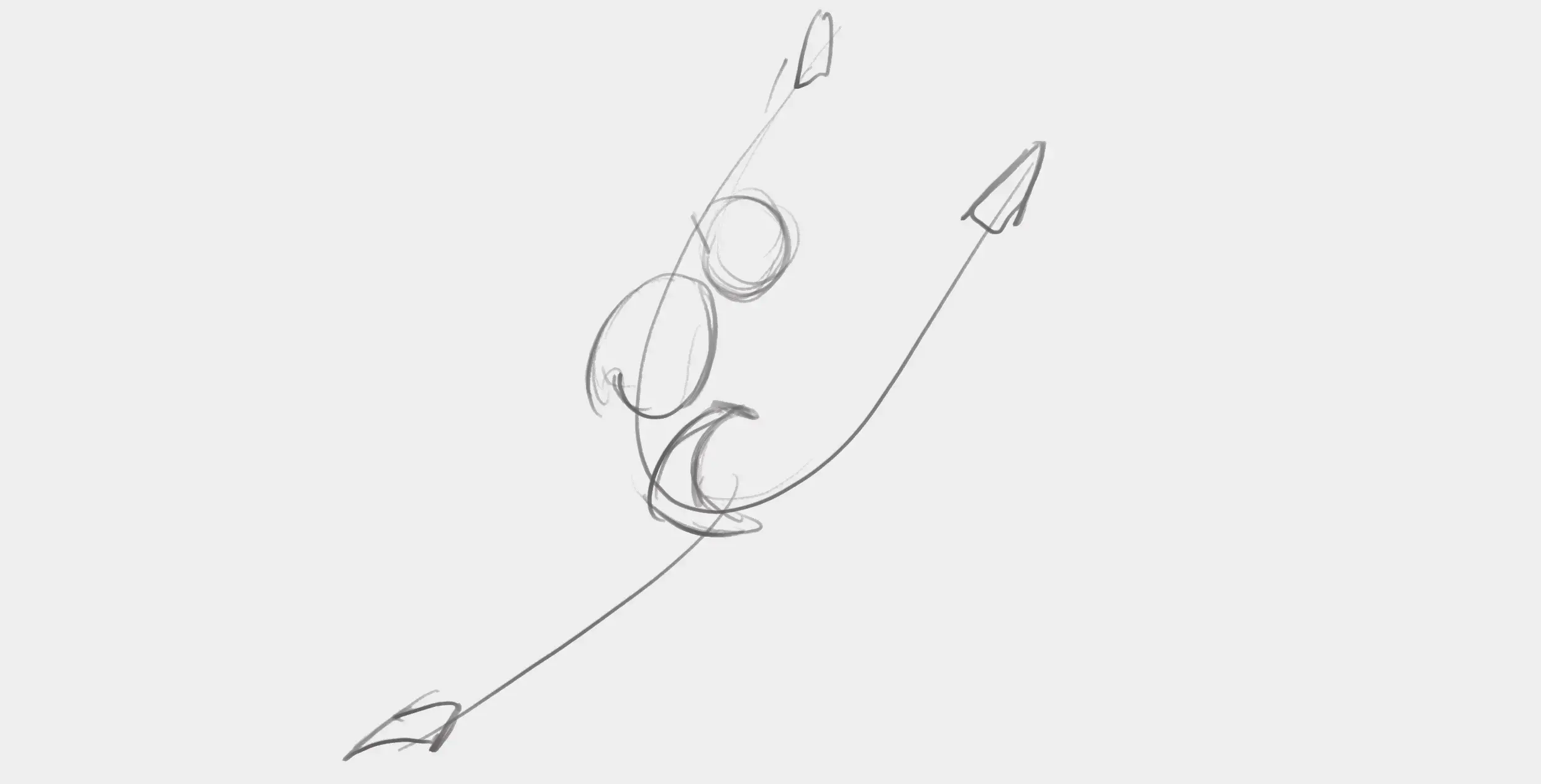 drawing of the foundation of a living being done from life