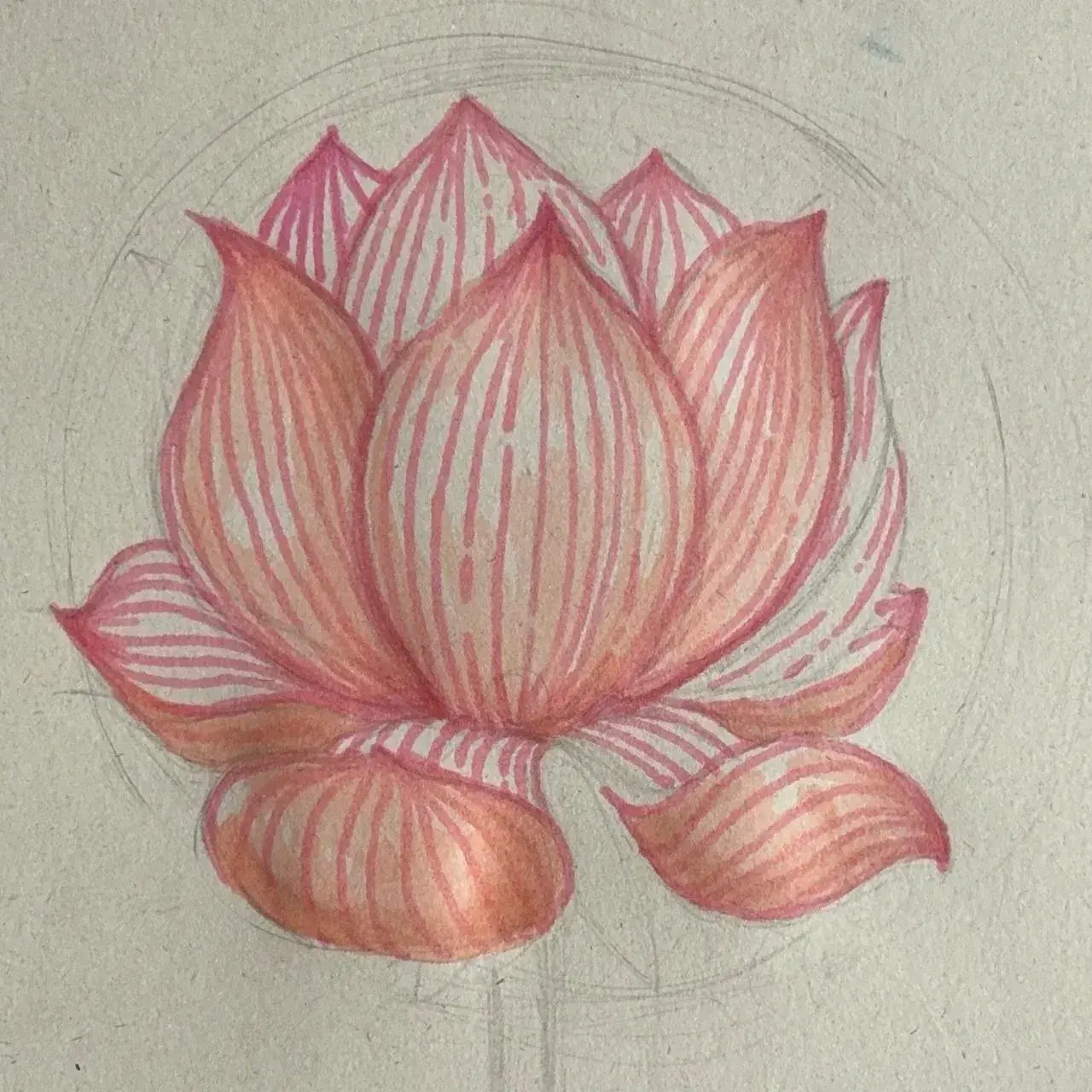dibujar el color de una flor de loto