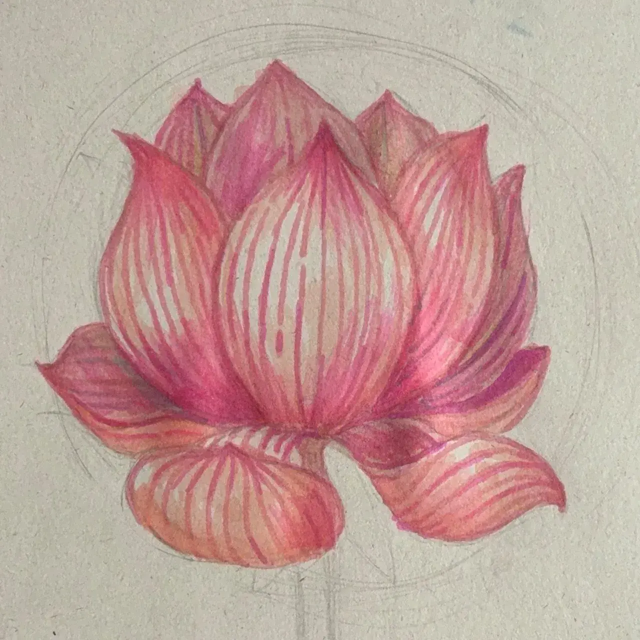 dibujar el volumen de una flor de loto