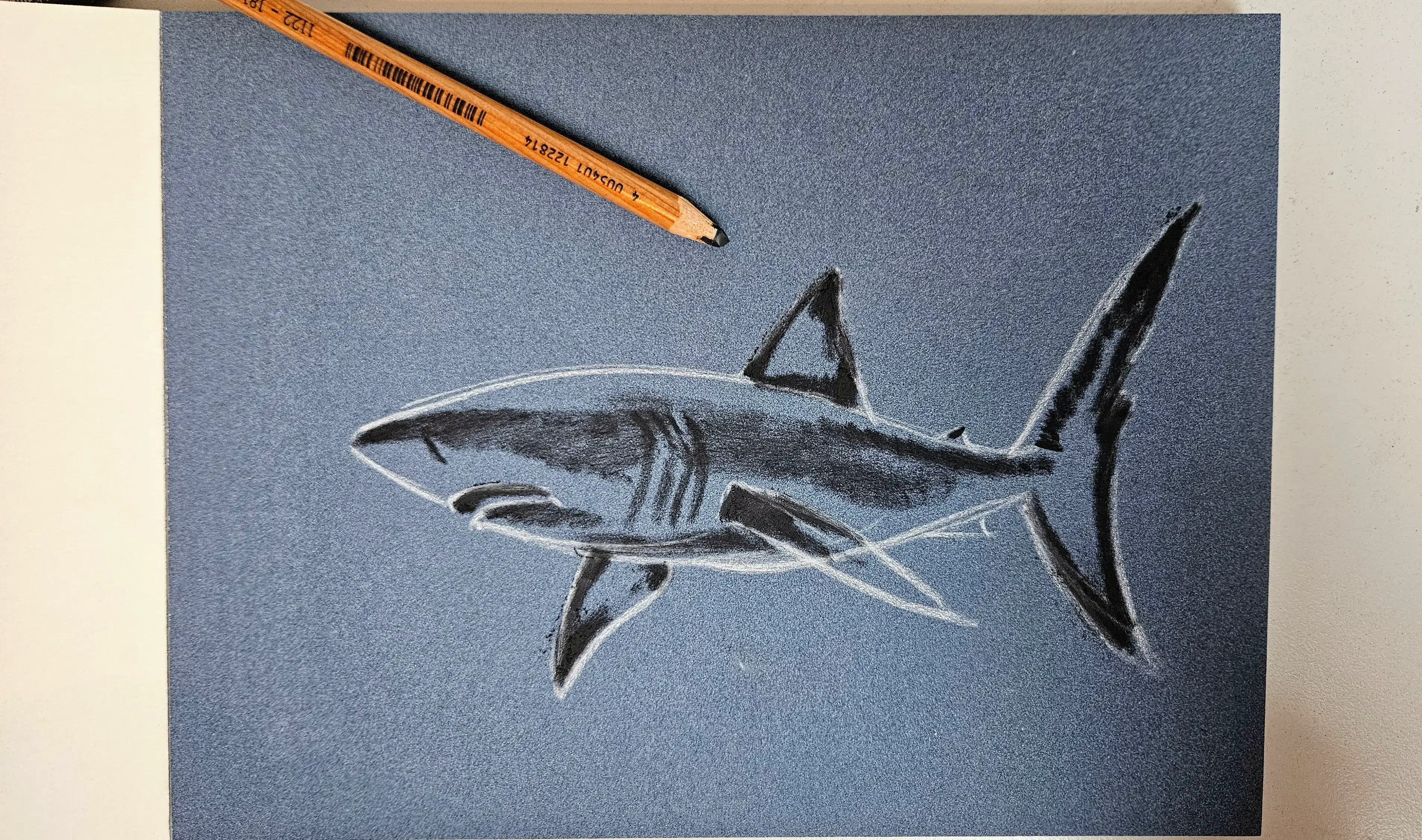 draw the shadows of a shark with pastels