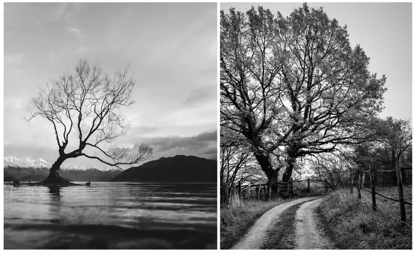 black and white landscape photo