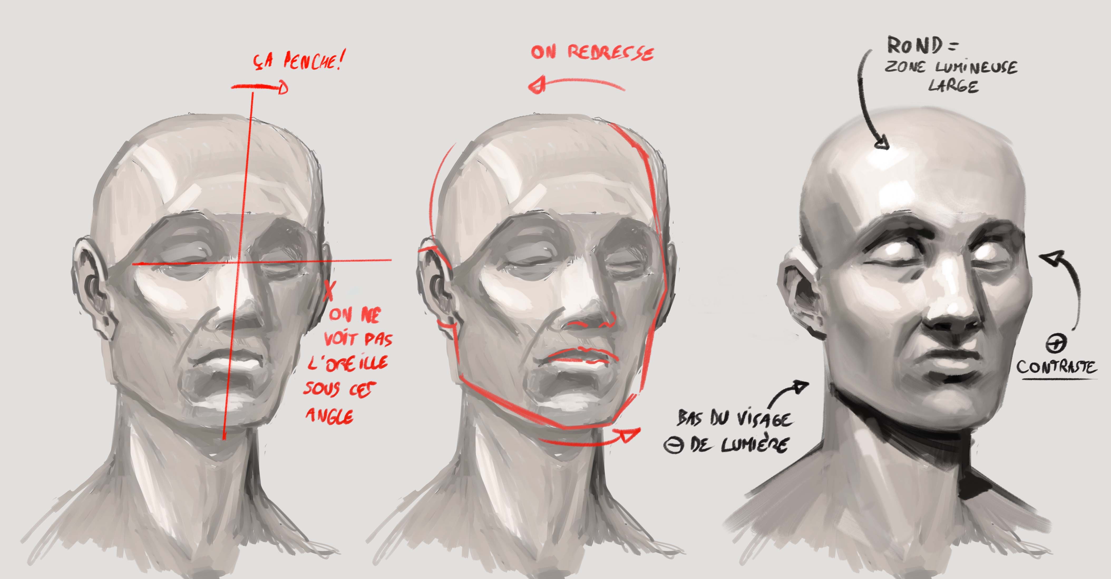Les volumes du visage : corrections exercices