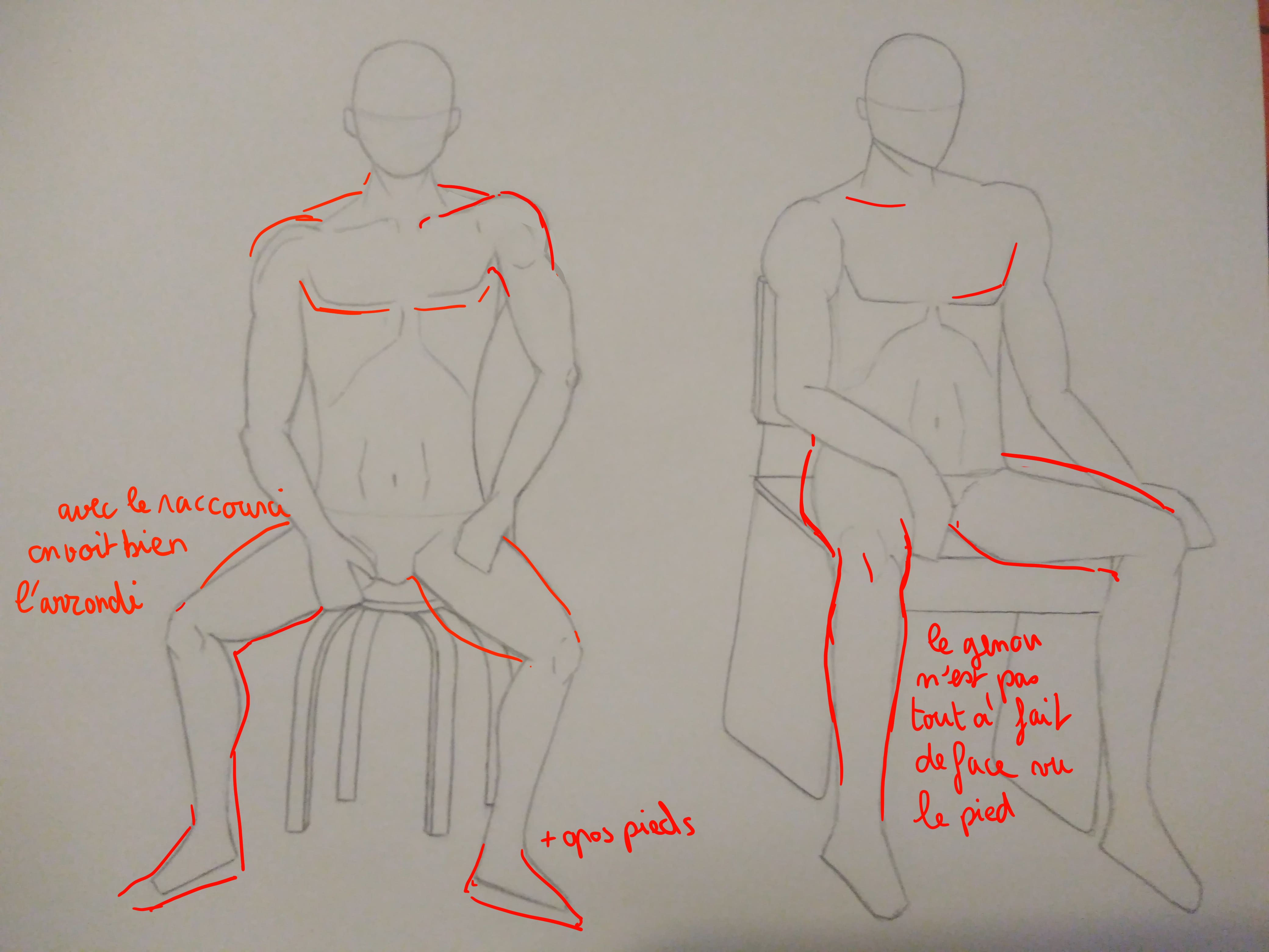 Forum Personnages Les Proportions Dessindigo