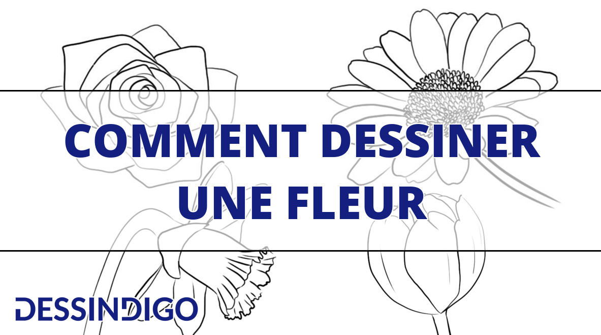 Comment dessiner une fleur