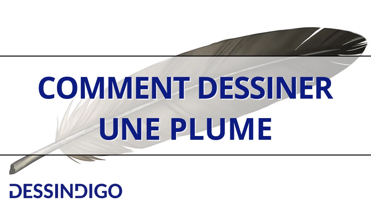 Comment dessiner une plume