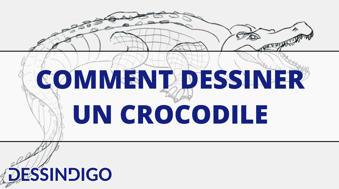 Comment dessiner un crocodile
