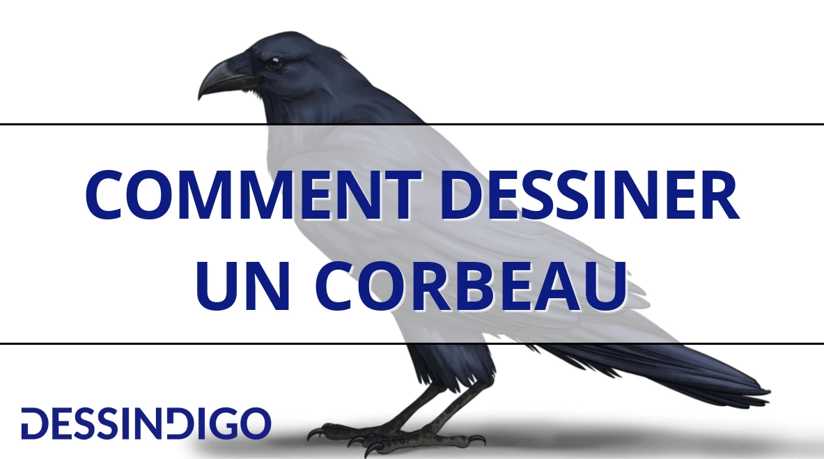 Comment dessiner un corbeau