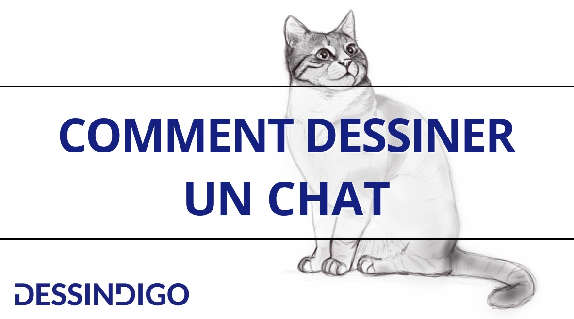 Comment dessiner un chat