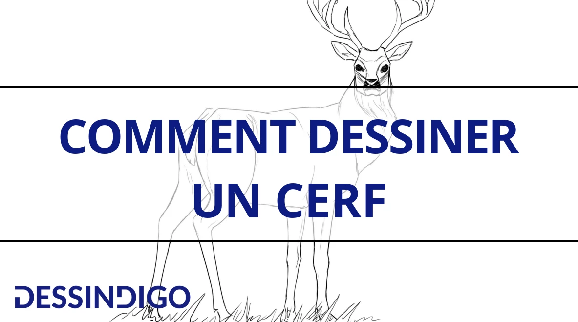 Comment dessiner un cerf