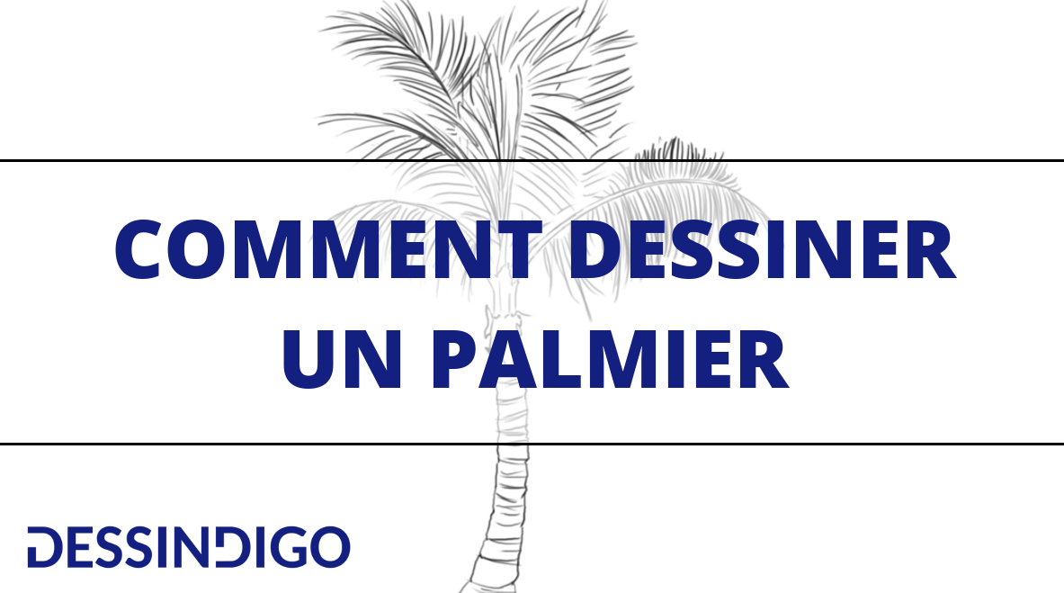 Dessiner un palmier - Blog - Dessindigo