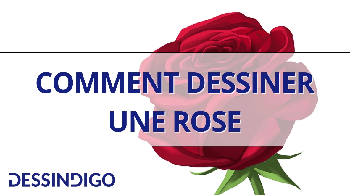 Comment dessiner une rose