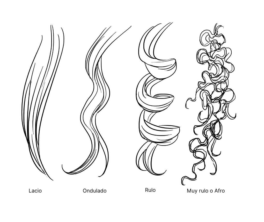Esquema de la estructura de una abeja