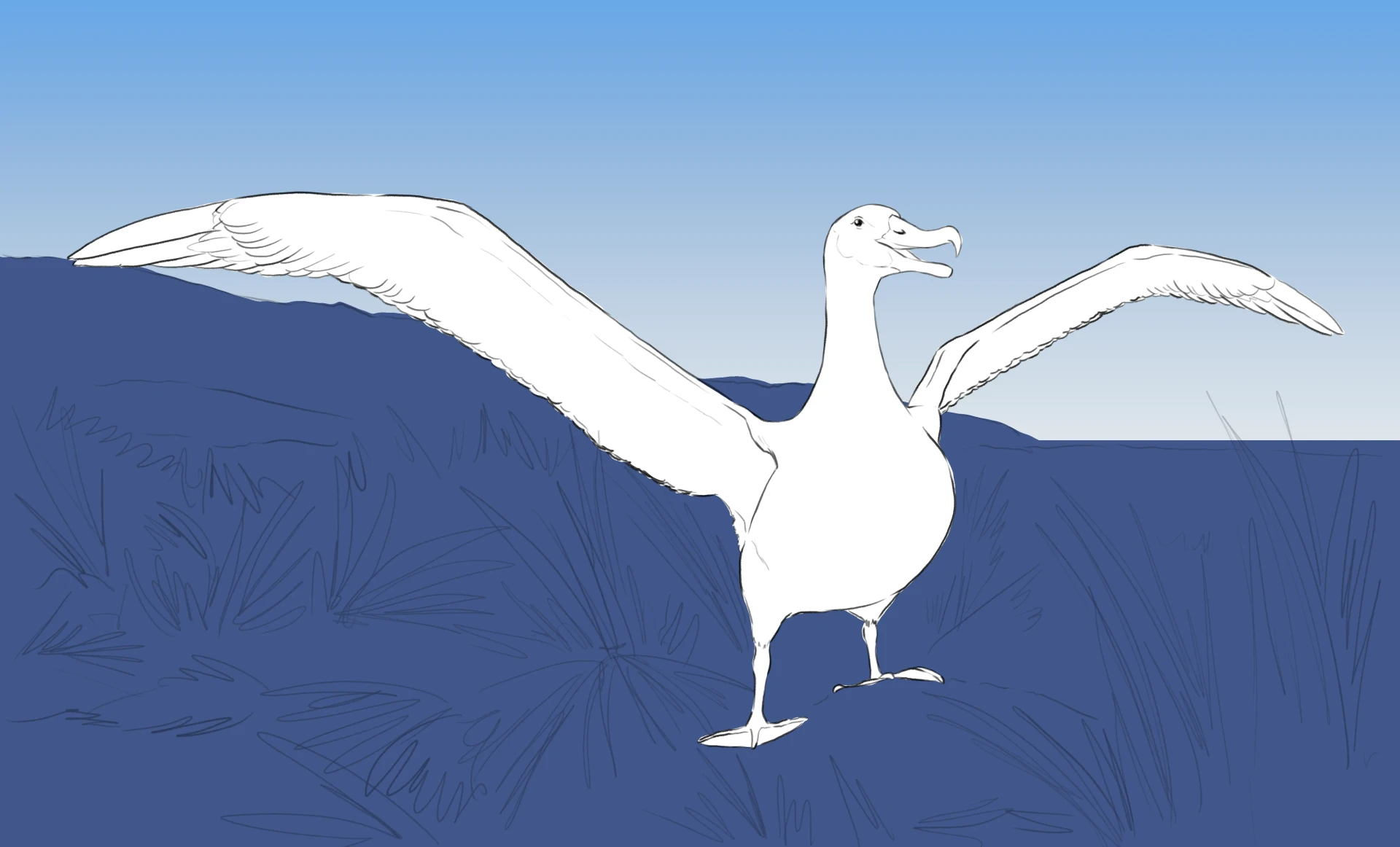 dessiner la couleur d’un albatros