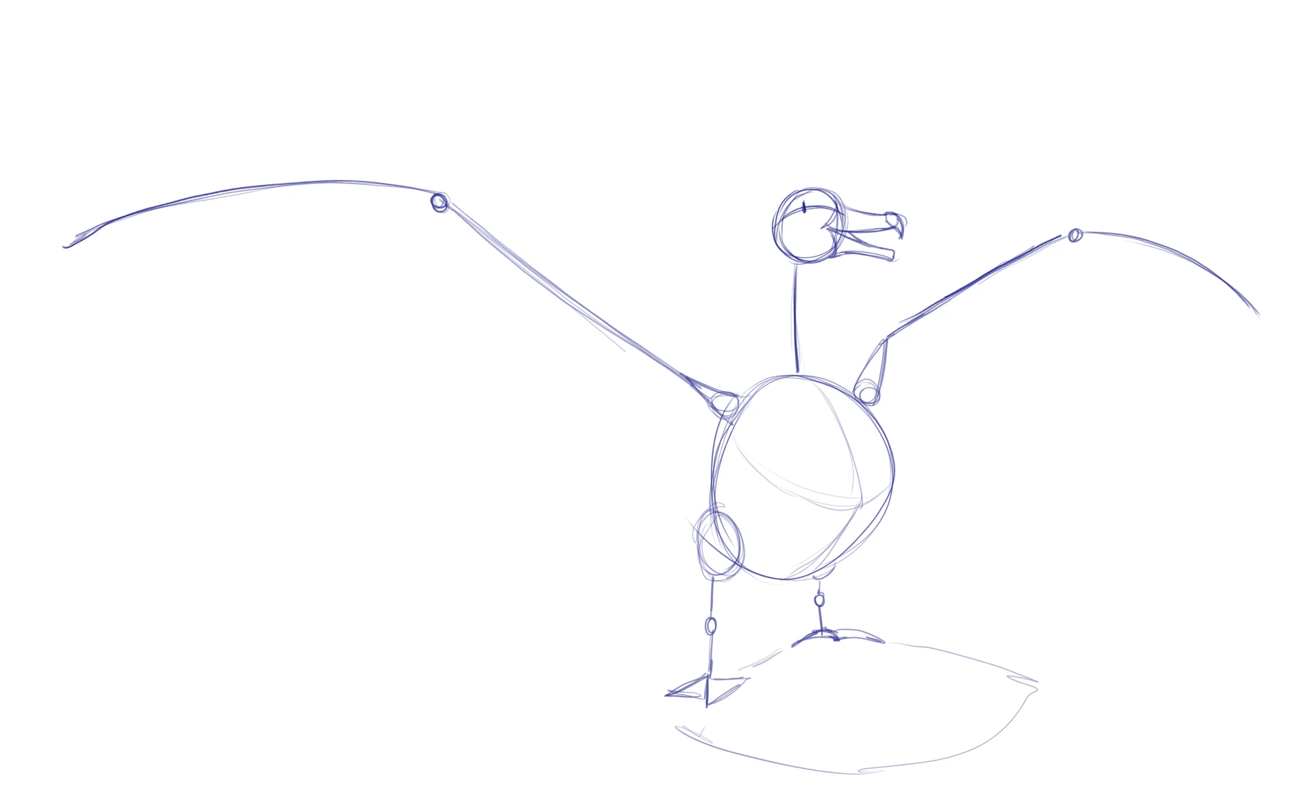 dessiner la structure d’un albatros