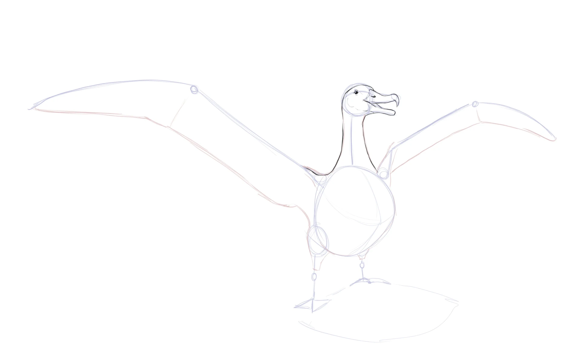 dessiner la tête d’un albatros