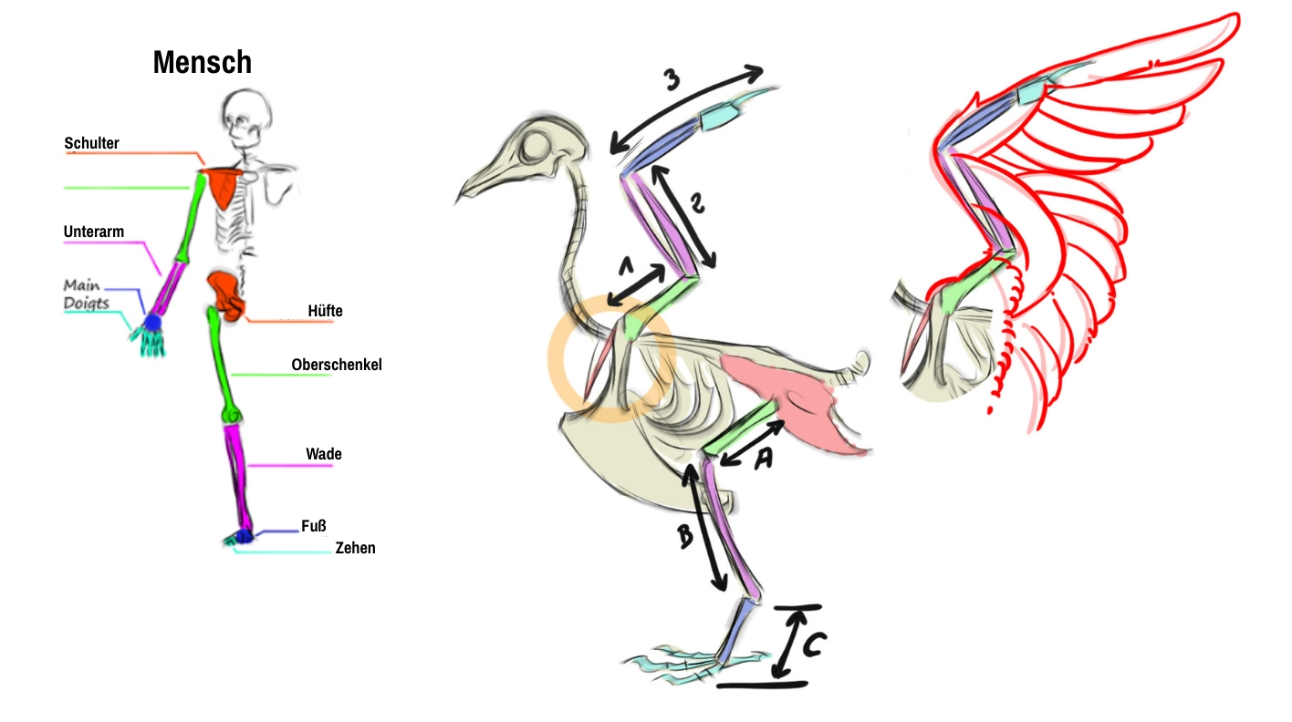 Zeichnung eines Vogels