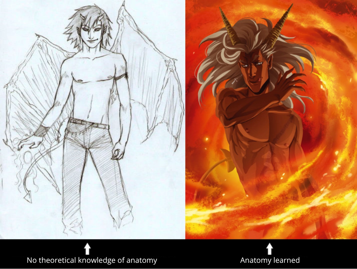 understanding anatomy to improve in drawing