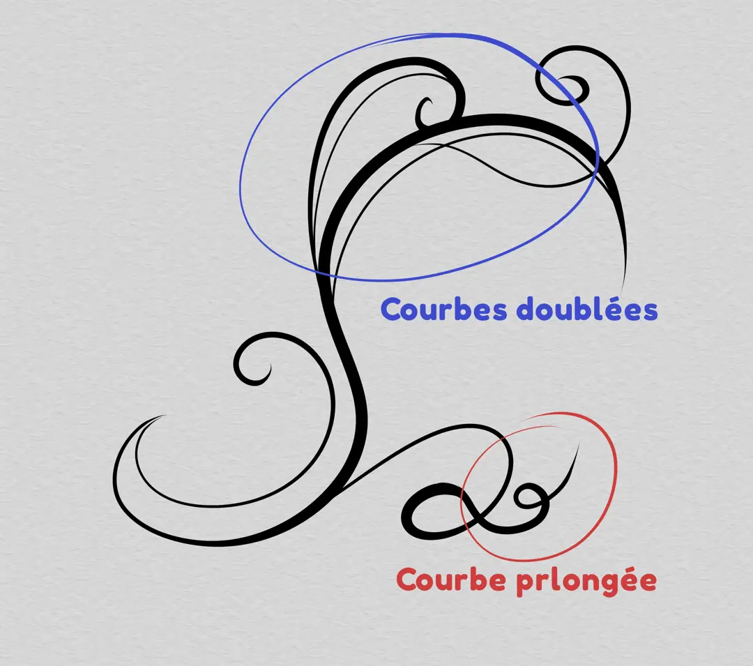 dessin de courbes doublées d’une arabesque