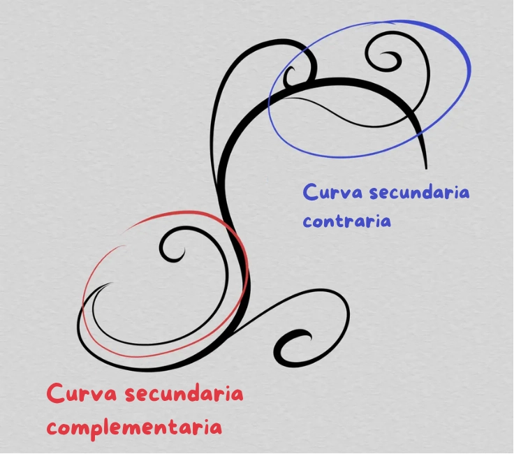 dibujo del conjunto de curvas de un arabesco