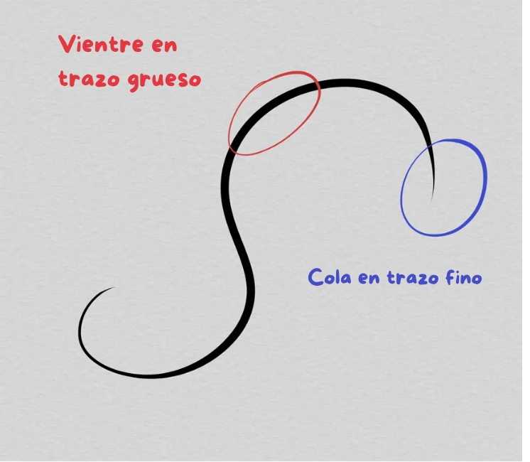 dibujo de curva principal de un arabesco