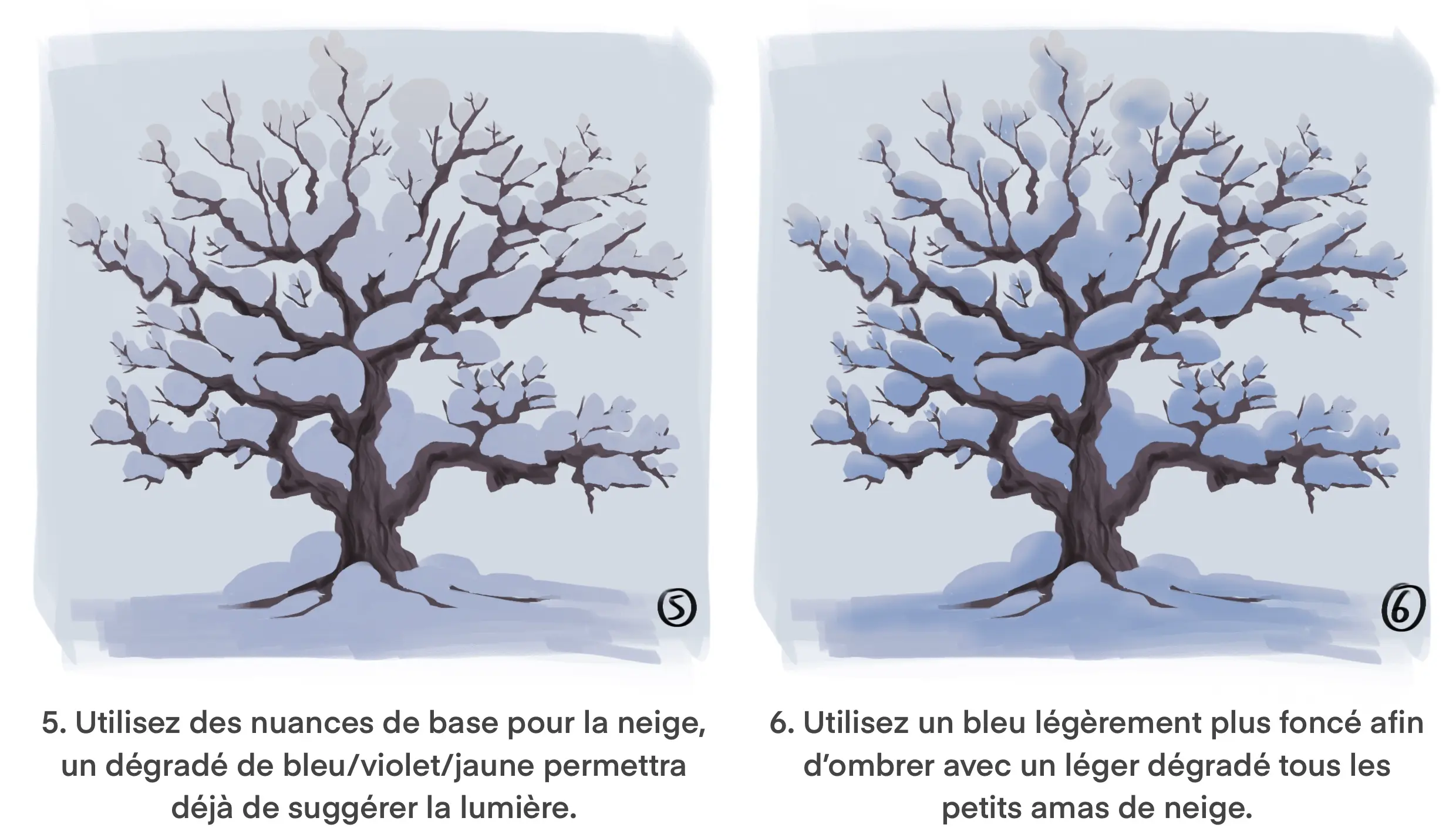dessiner les ombres d’un arbre enneigé 