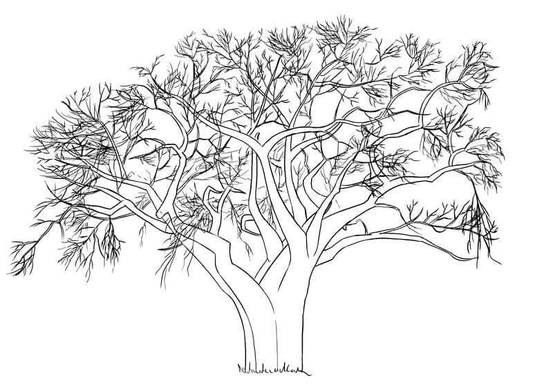 Arbre image a Colorier