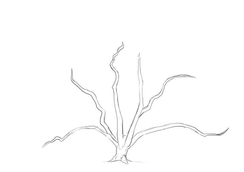 Suite du dessin des branches du chêne