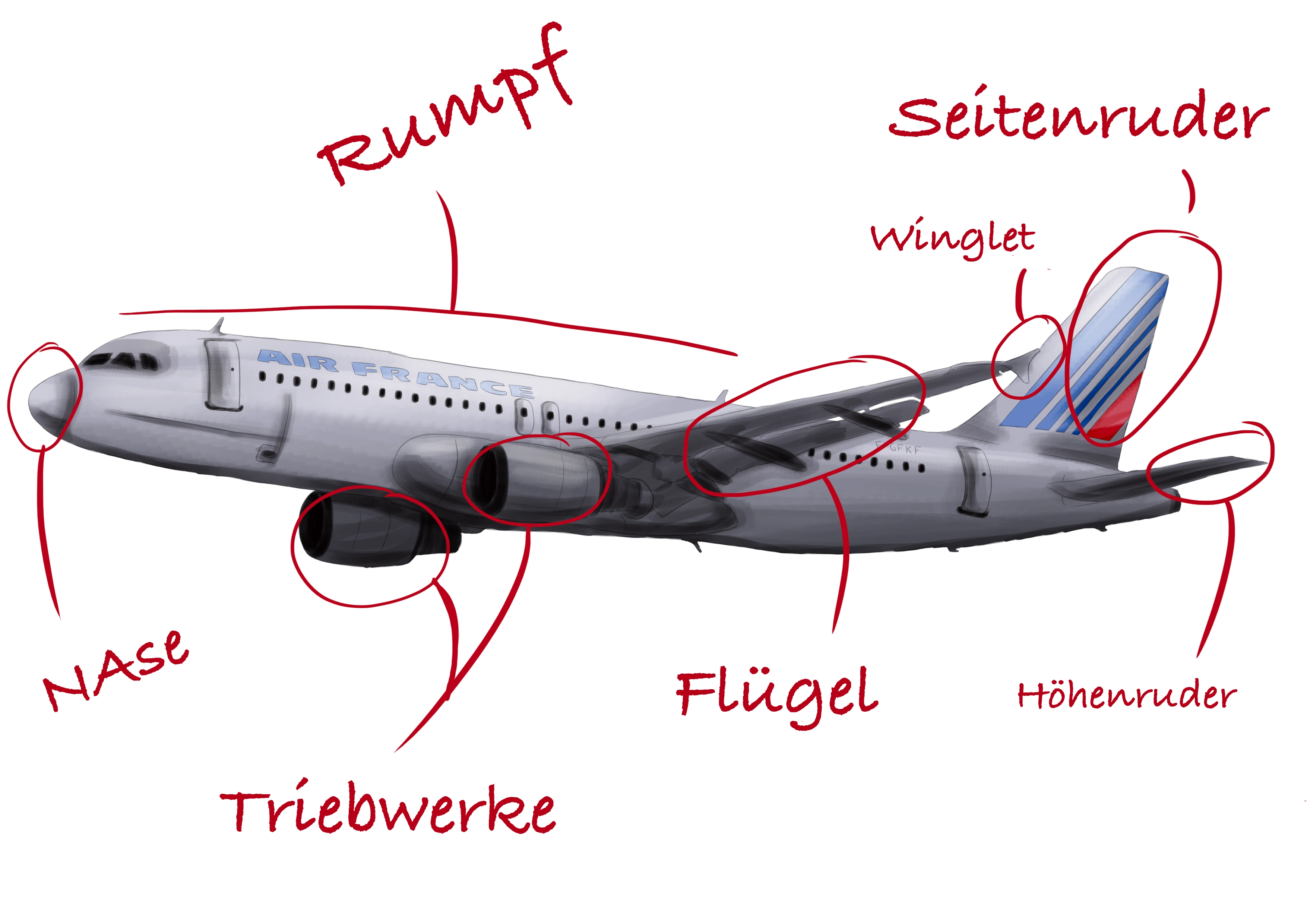 Schema der Struktur eines Verkehrsflugzeugs