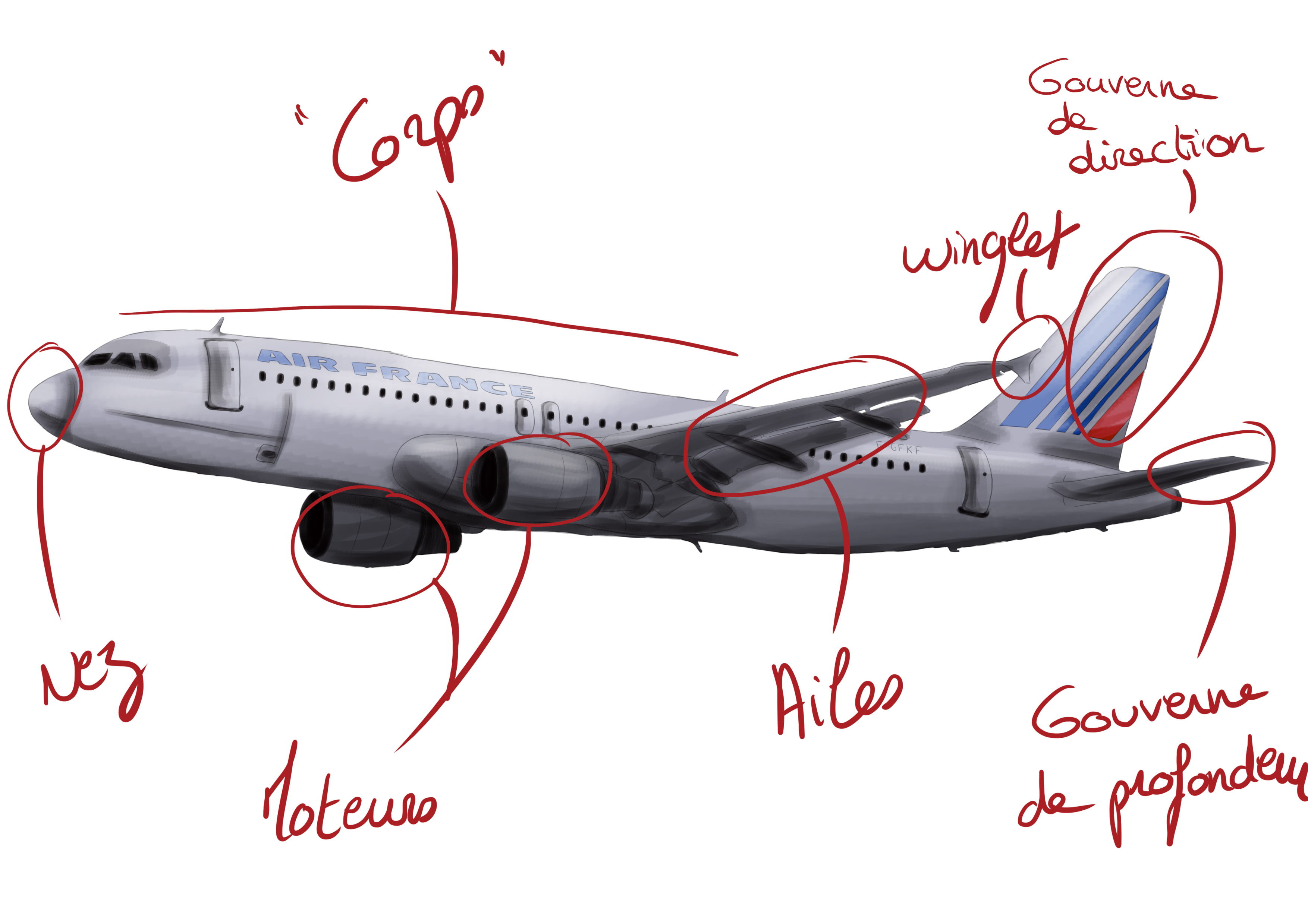 Schéma de la structure d'un avion de ligne