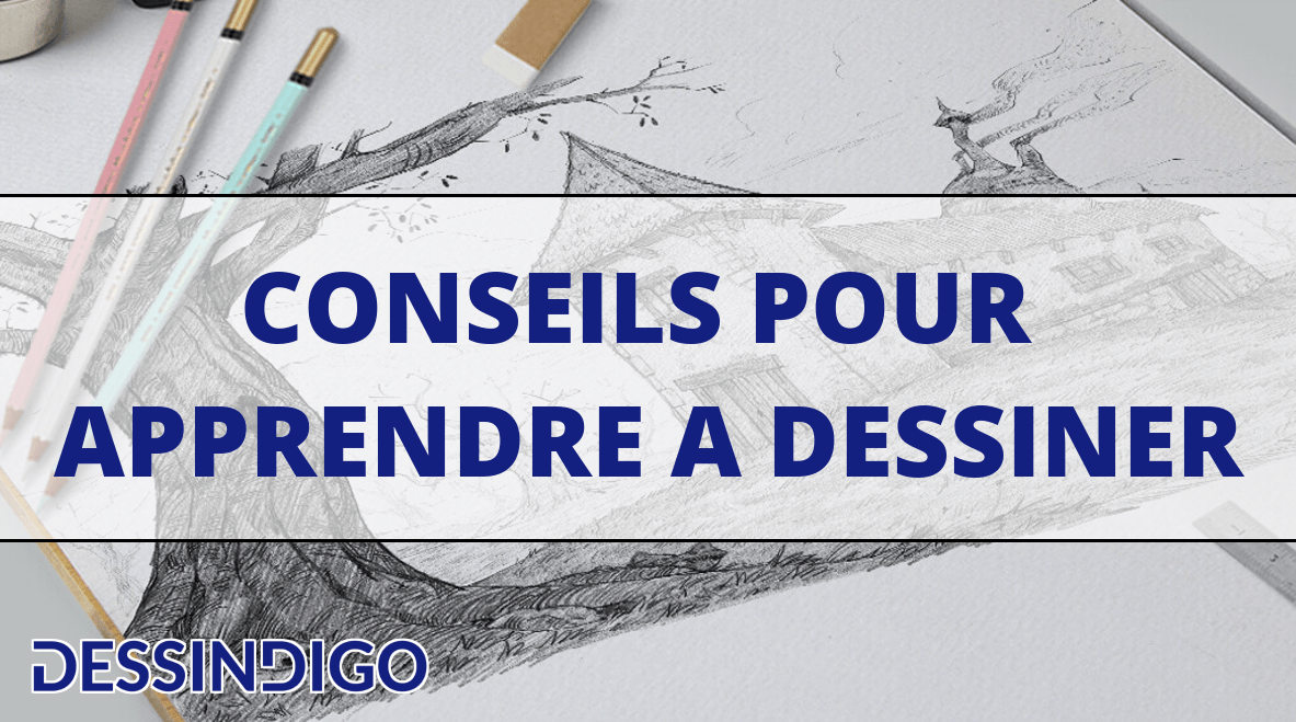 Comment dessiner un arbre - Blog - Dessindigo