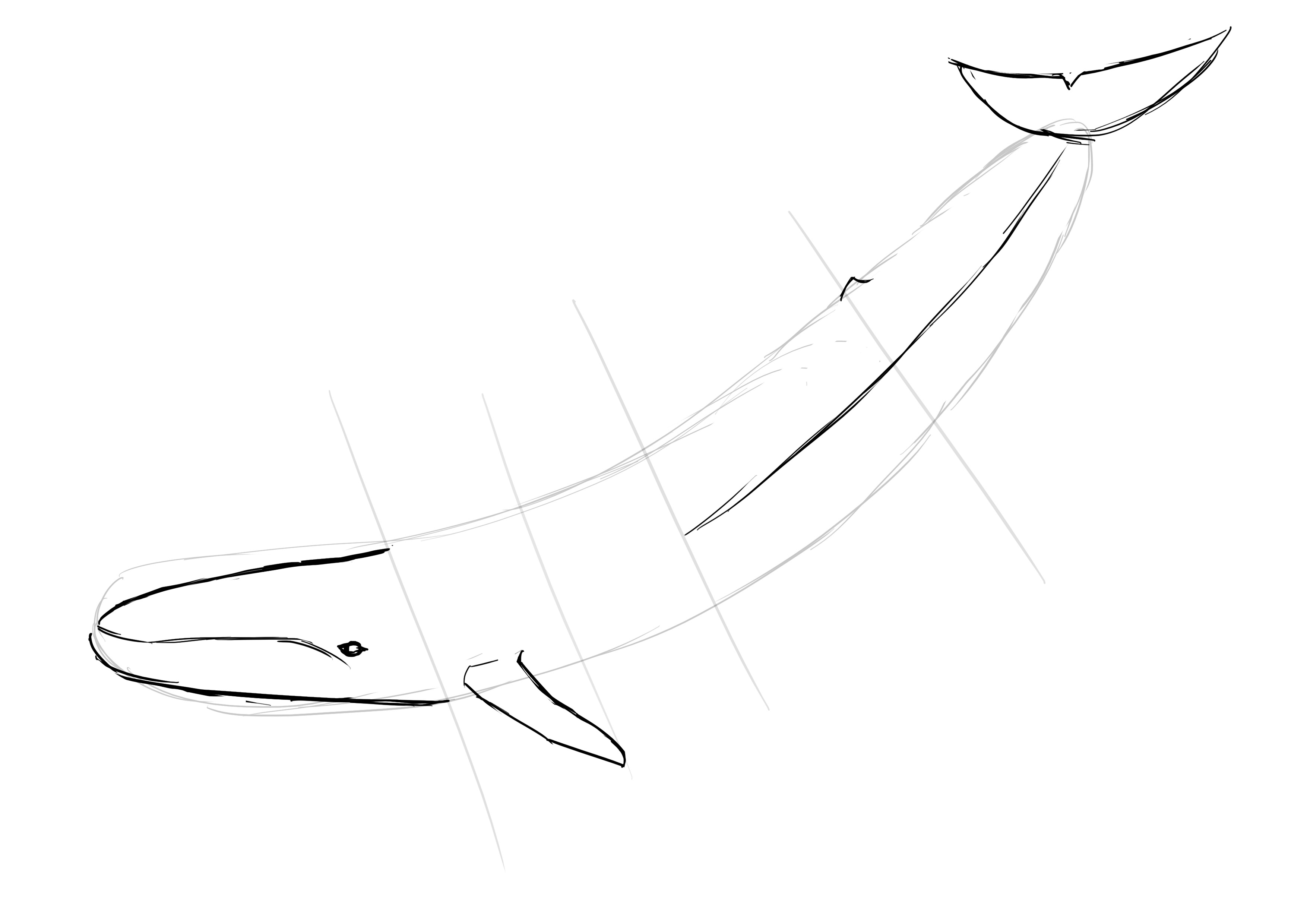 dessiner la bouche de la baleine