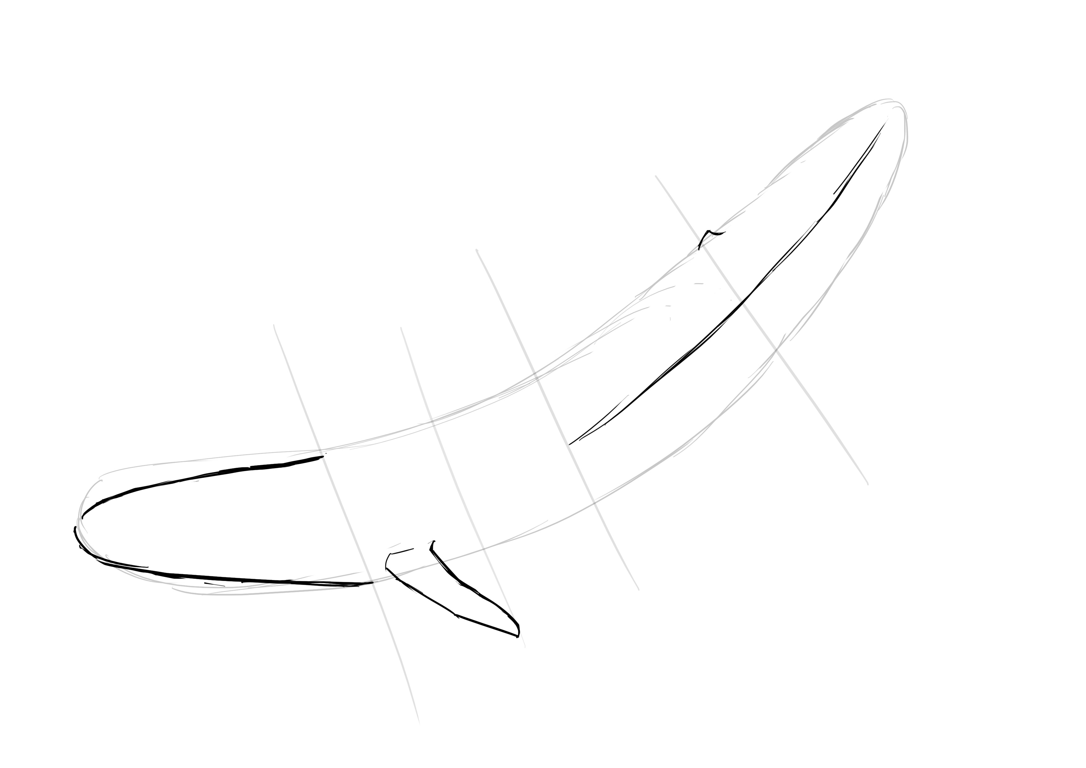 dessiner les nageoires avant de la baleine 2