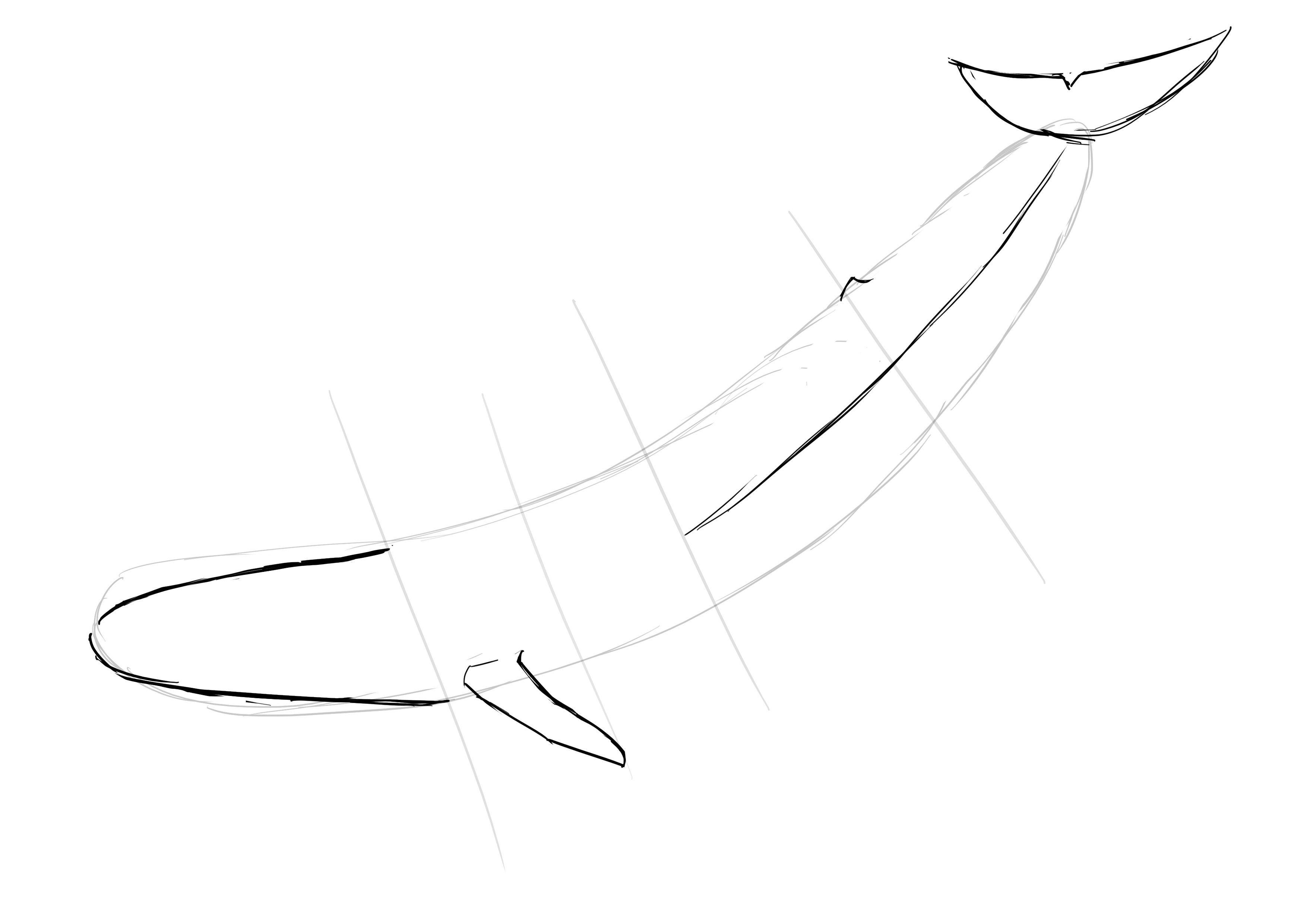dessiner la nageoire caudale de la baleine