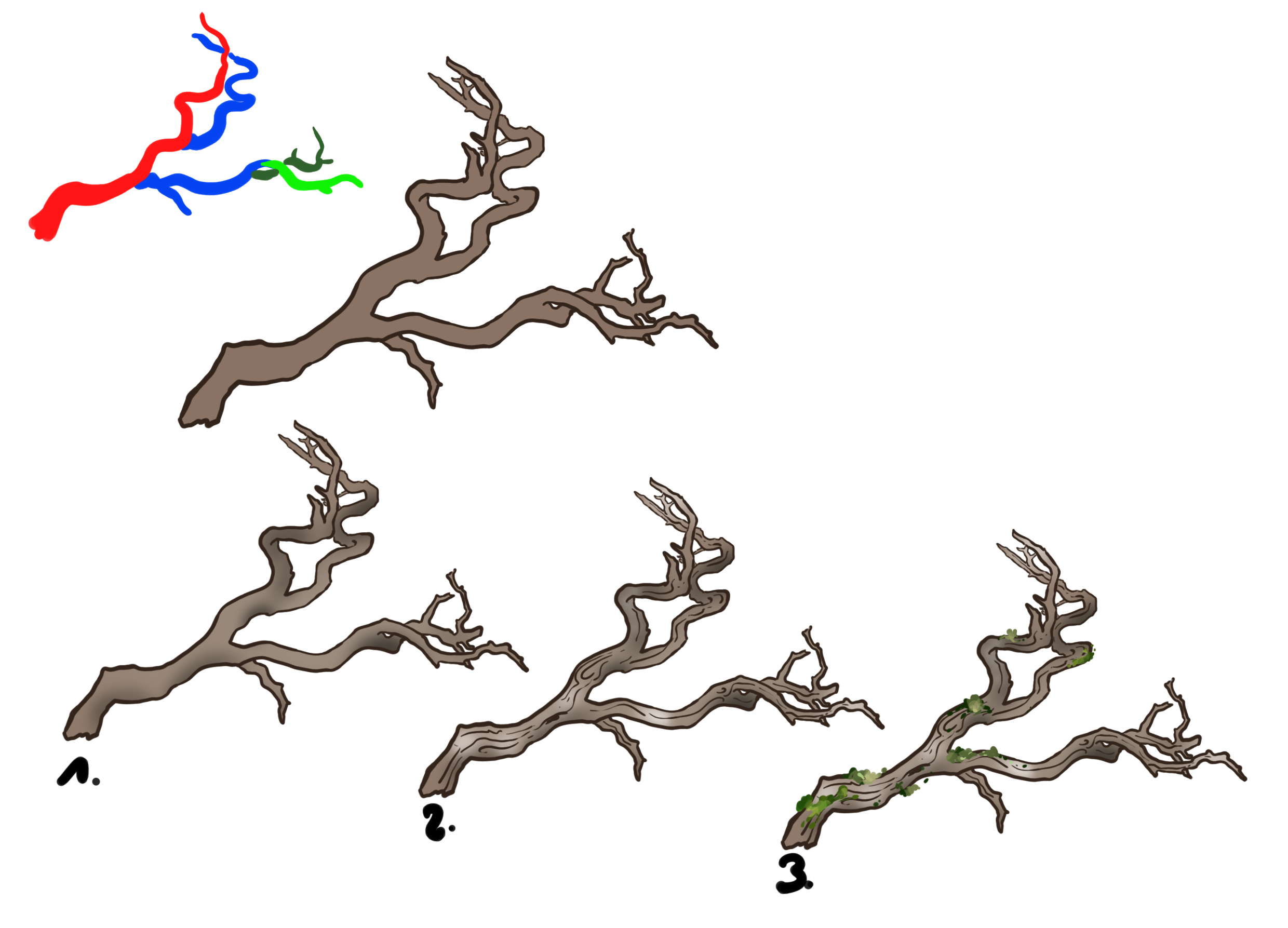 dessiner la structure des ramifications des branches 3