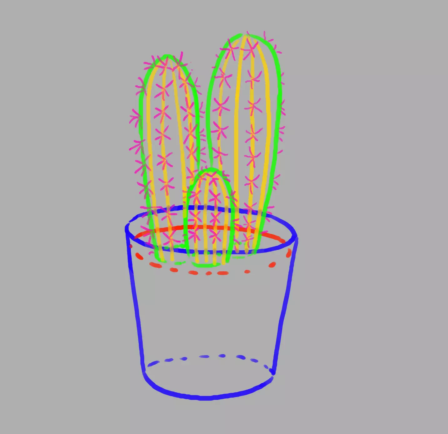 dessin des épines des cactus