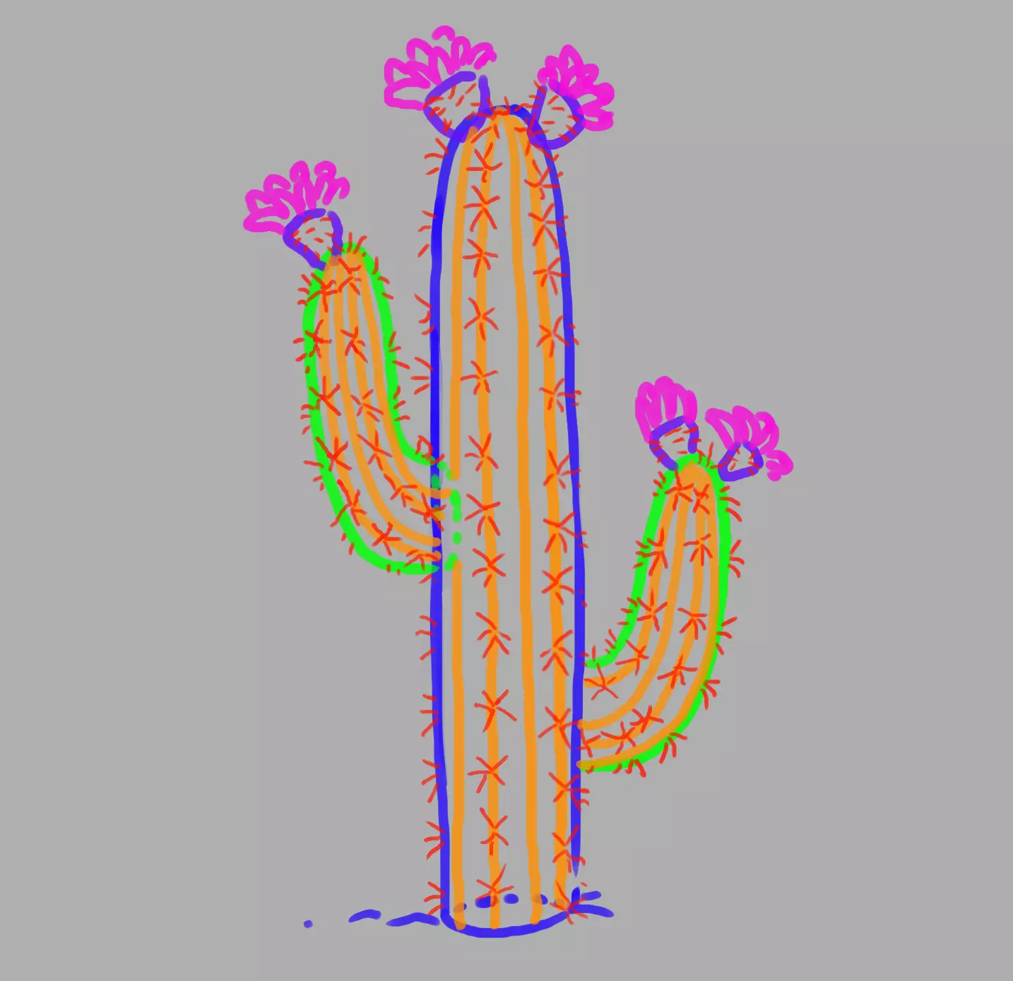 dessin des épines du grand cactus