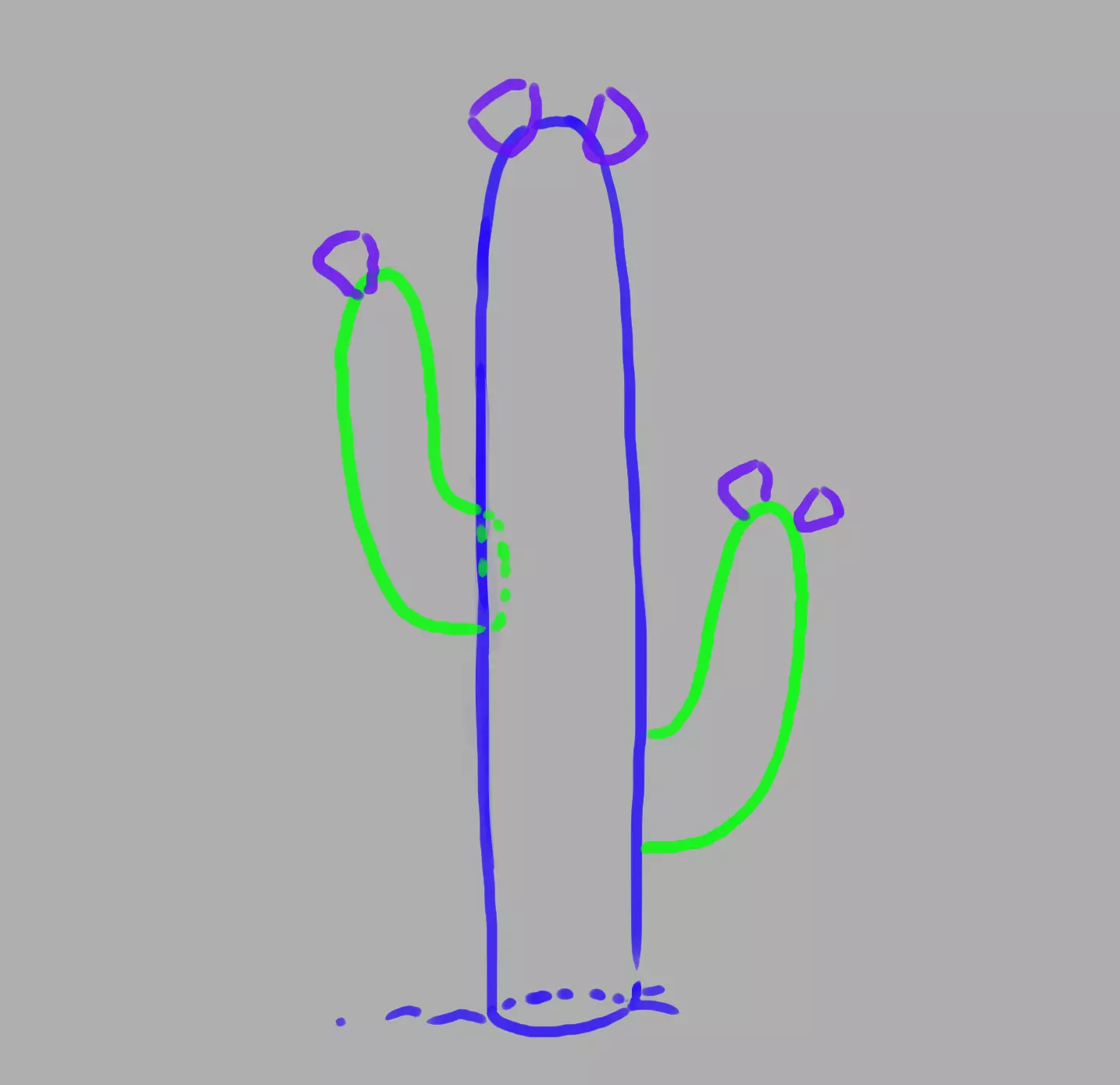 dessin des fleurs de cactus