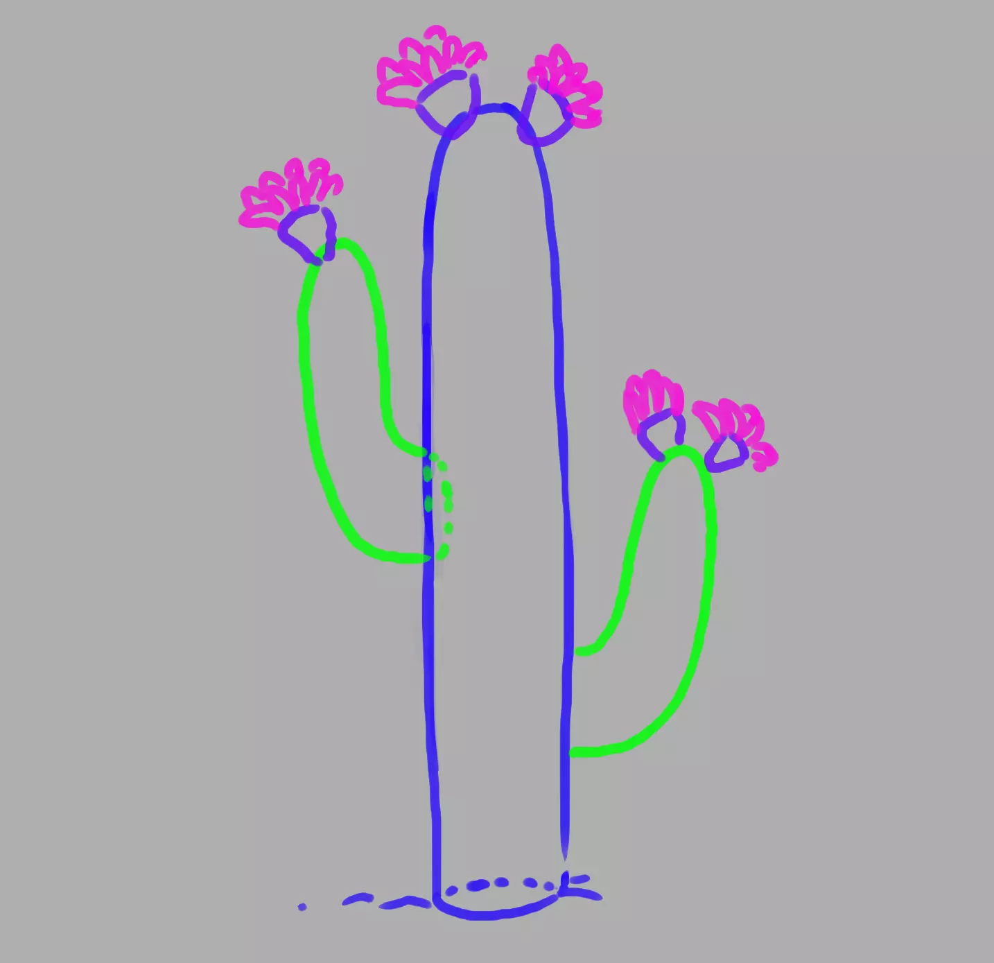 dessin des pétales de cactus
