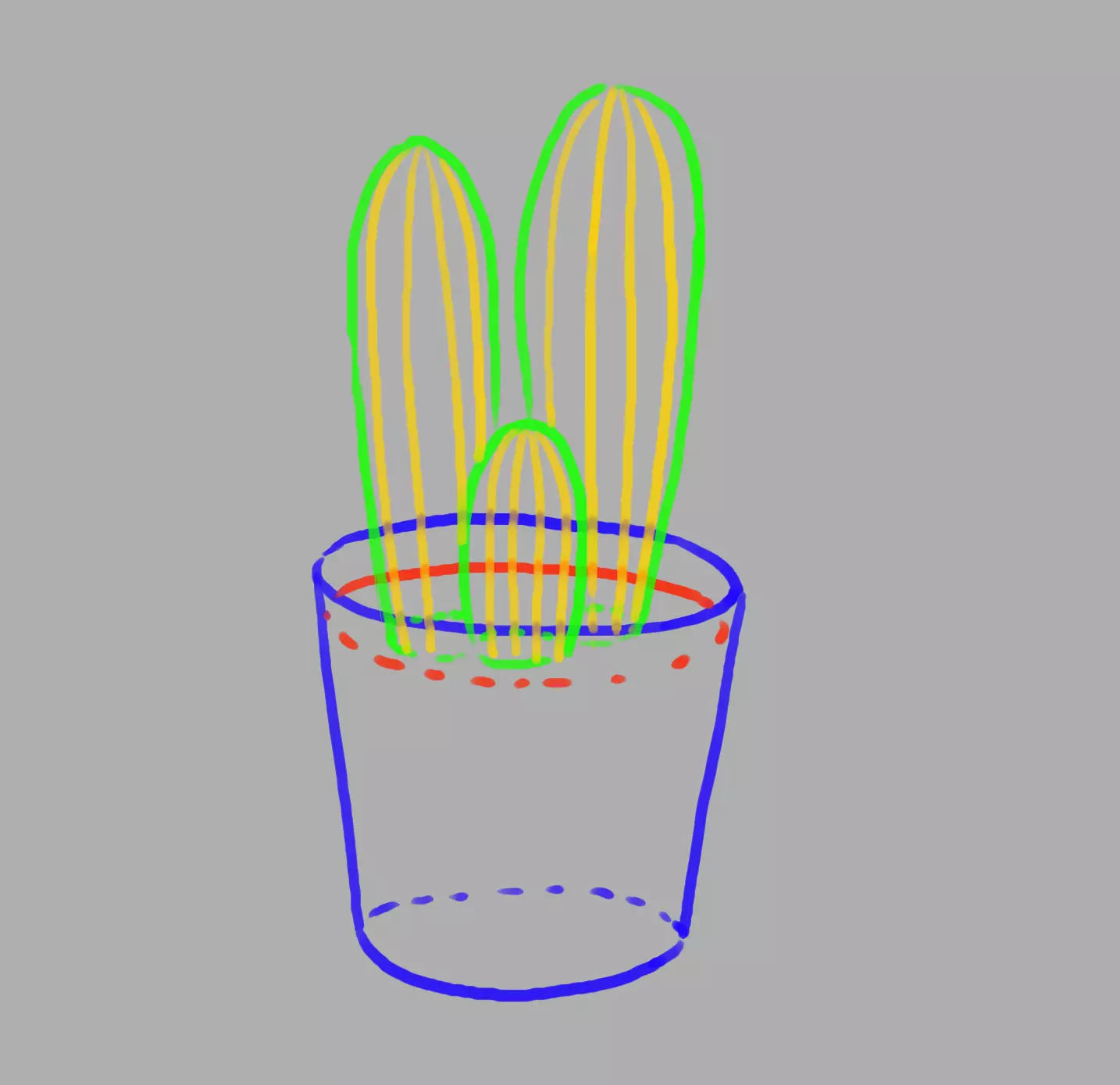 dessin des stries sur le cactus en pot