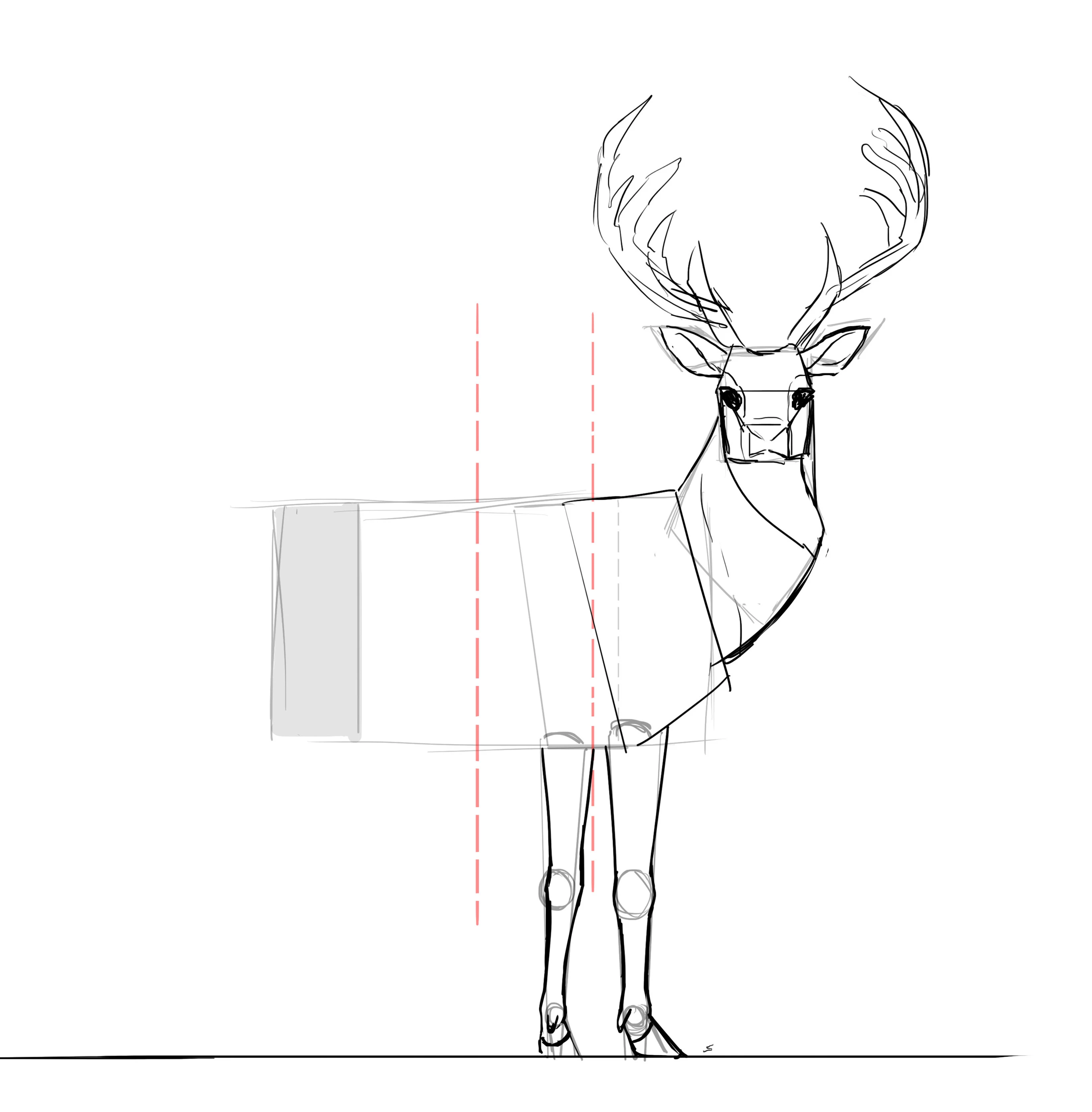 Commetn dessiner un cerf, étape 16