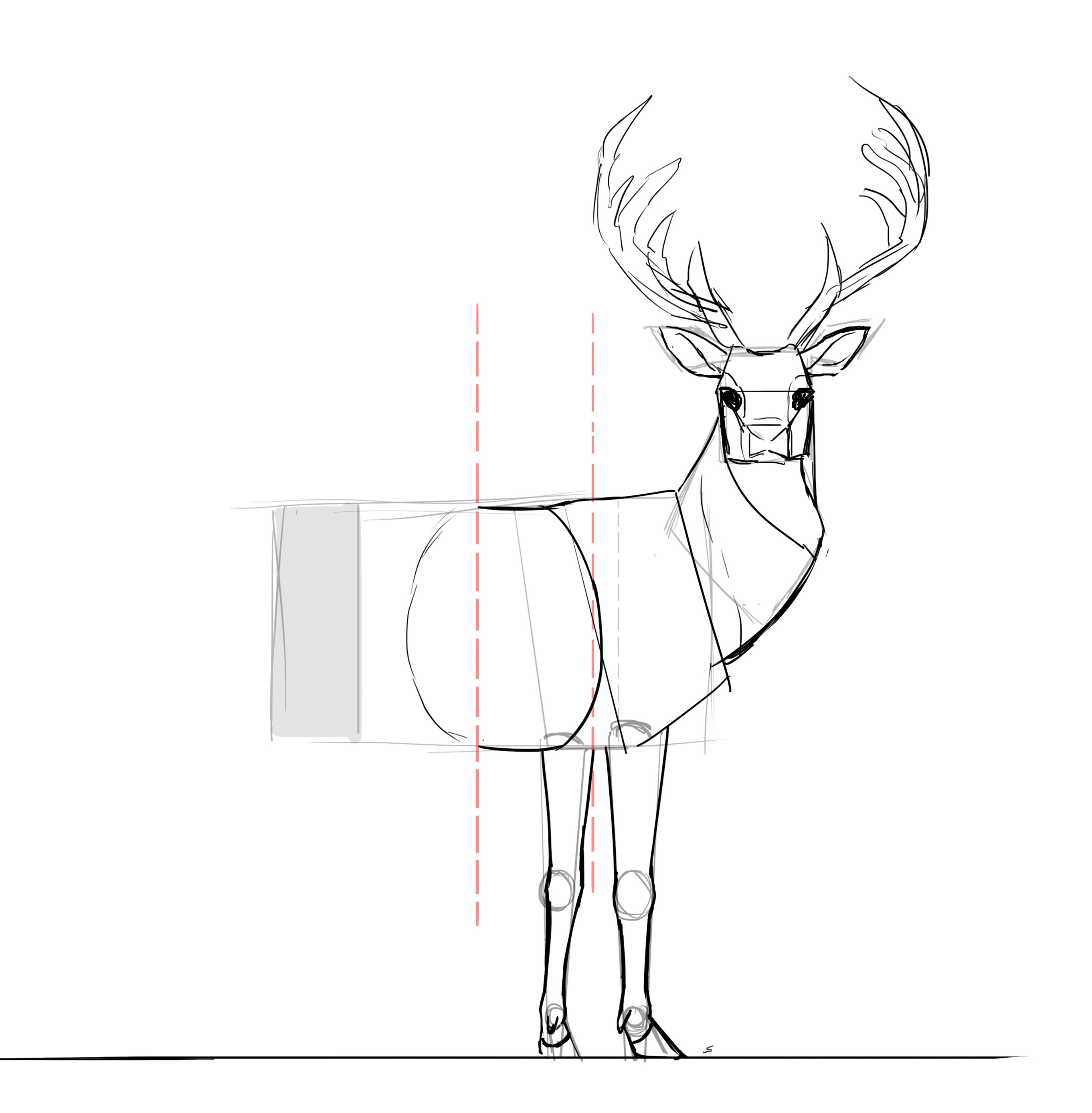 Comment dessiner un cerf, étape 17