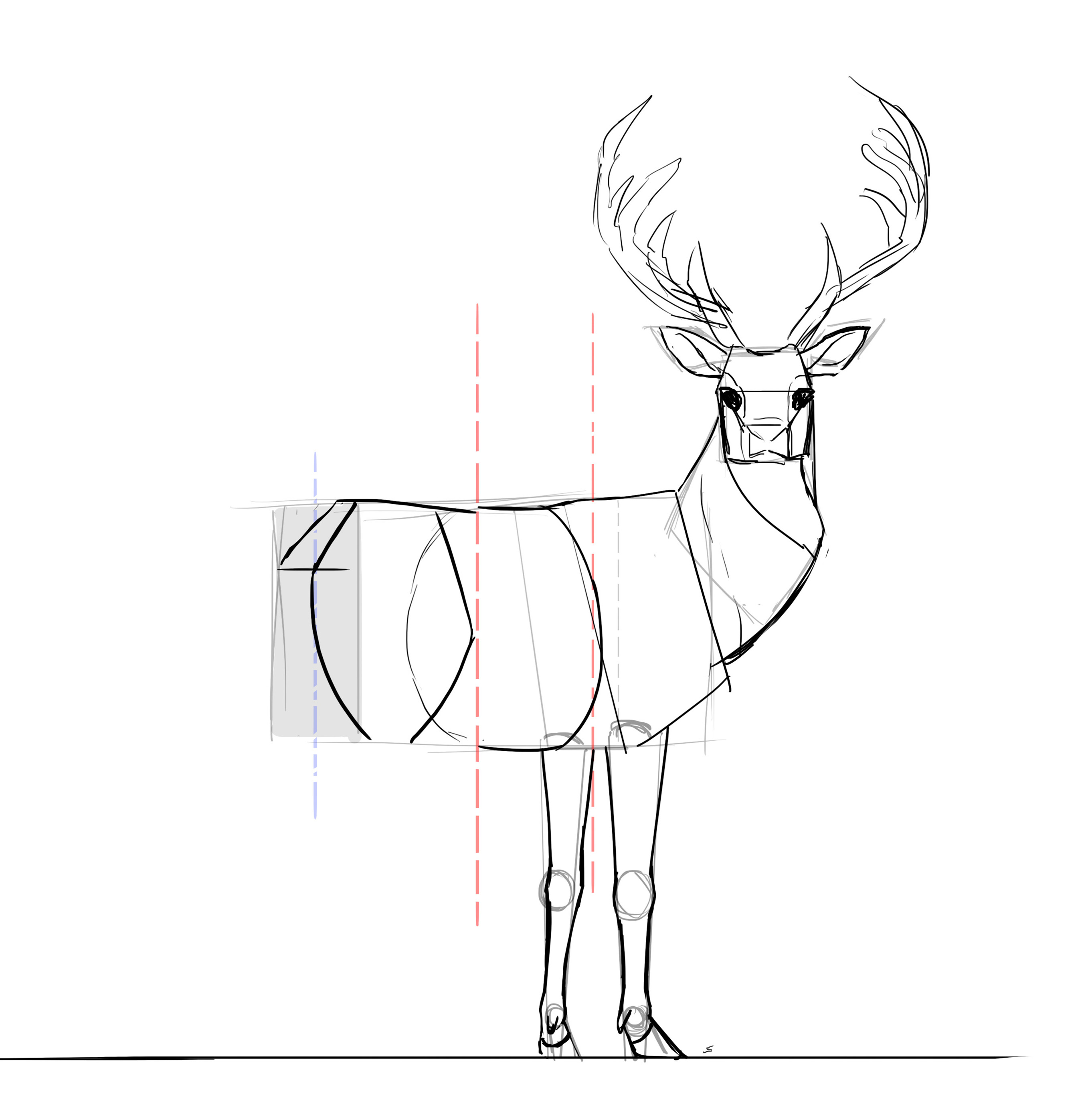 Comment dessiner un cerf, étape 18